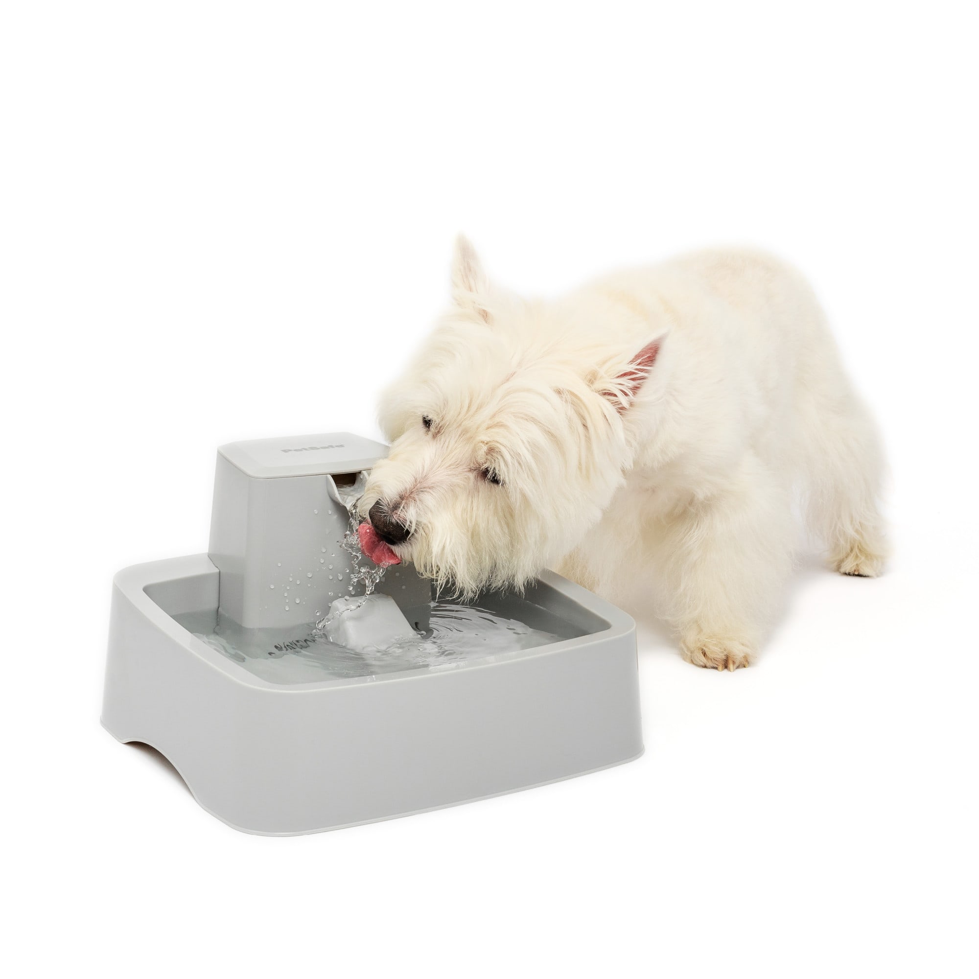 PetSafe Drinkwell 1 Gallon Pet Fountain Small Petco