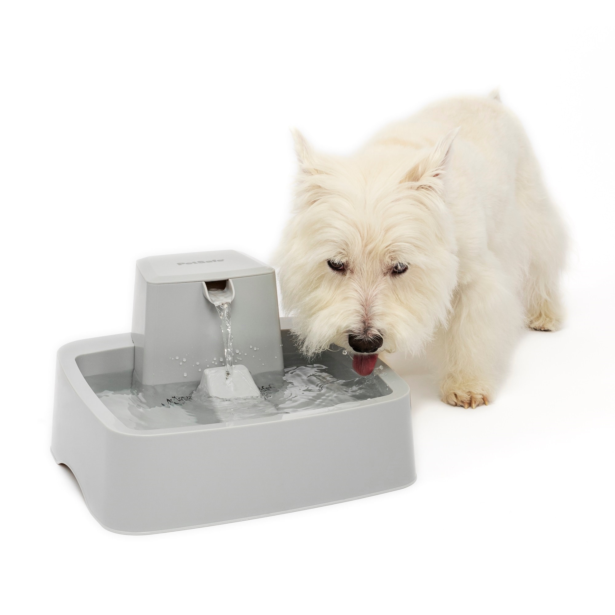 PetSafe Drinkwell 1 Gallon Pet Fountain, Small