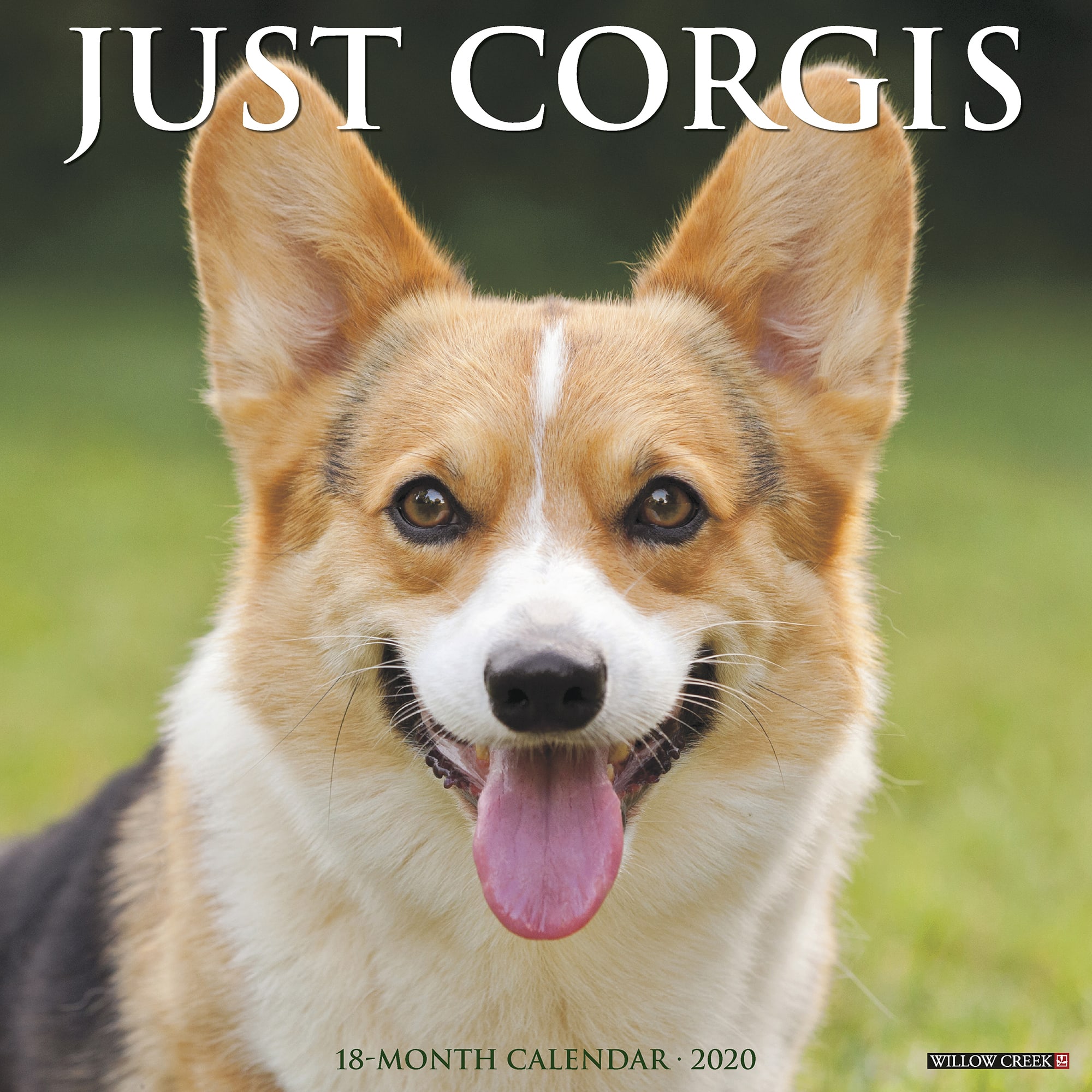certain creek corgis