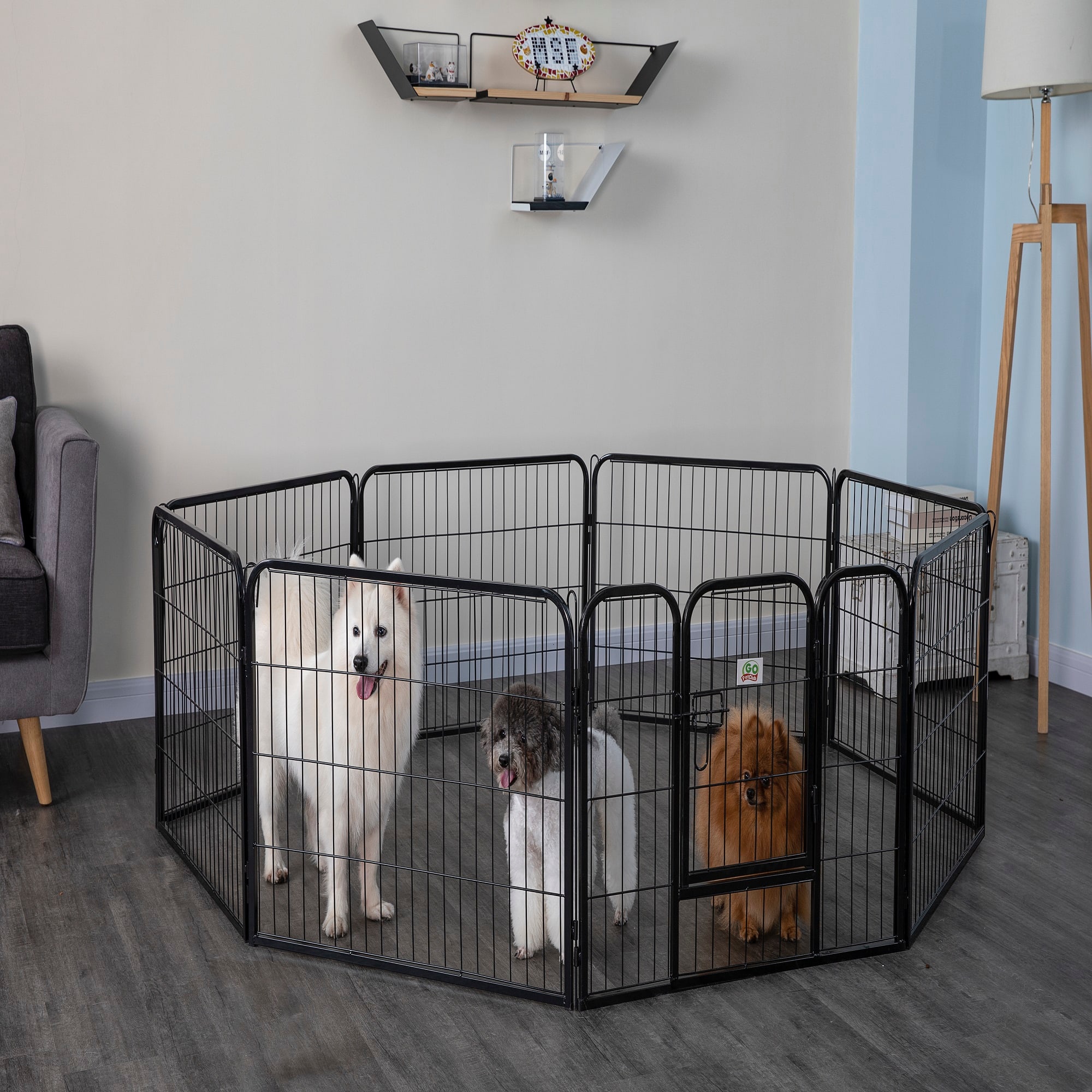 Dog playpen petco hotsell