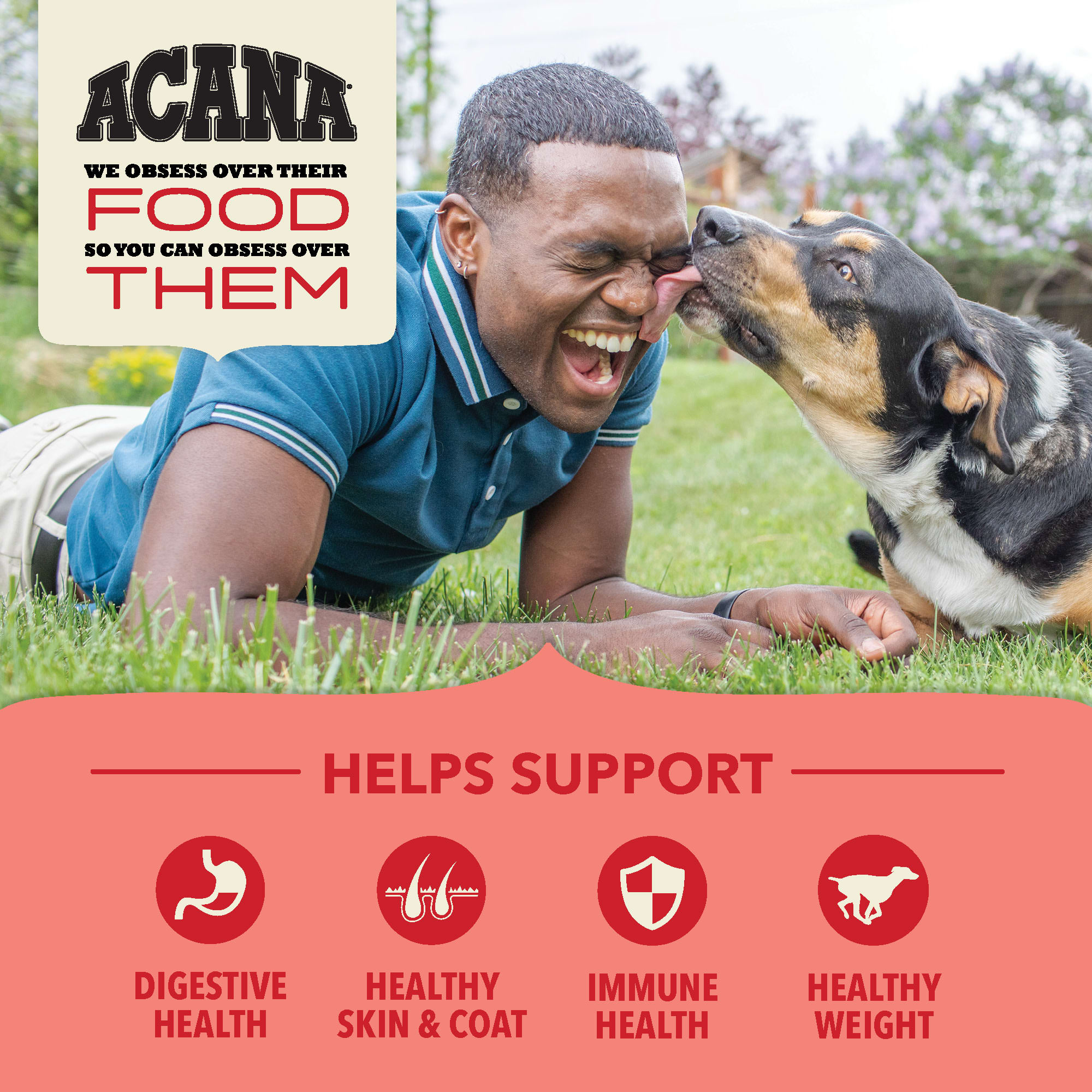 ACANA Wholesome Grains Red Meat Grains Recipe Dry Dog Food 22.5