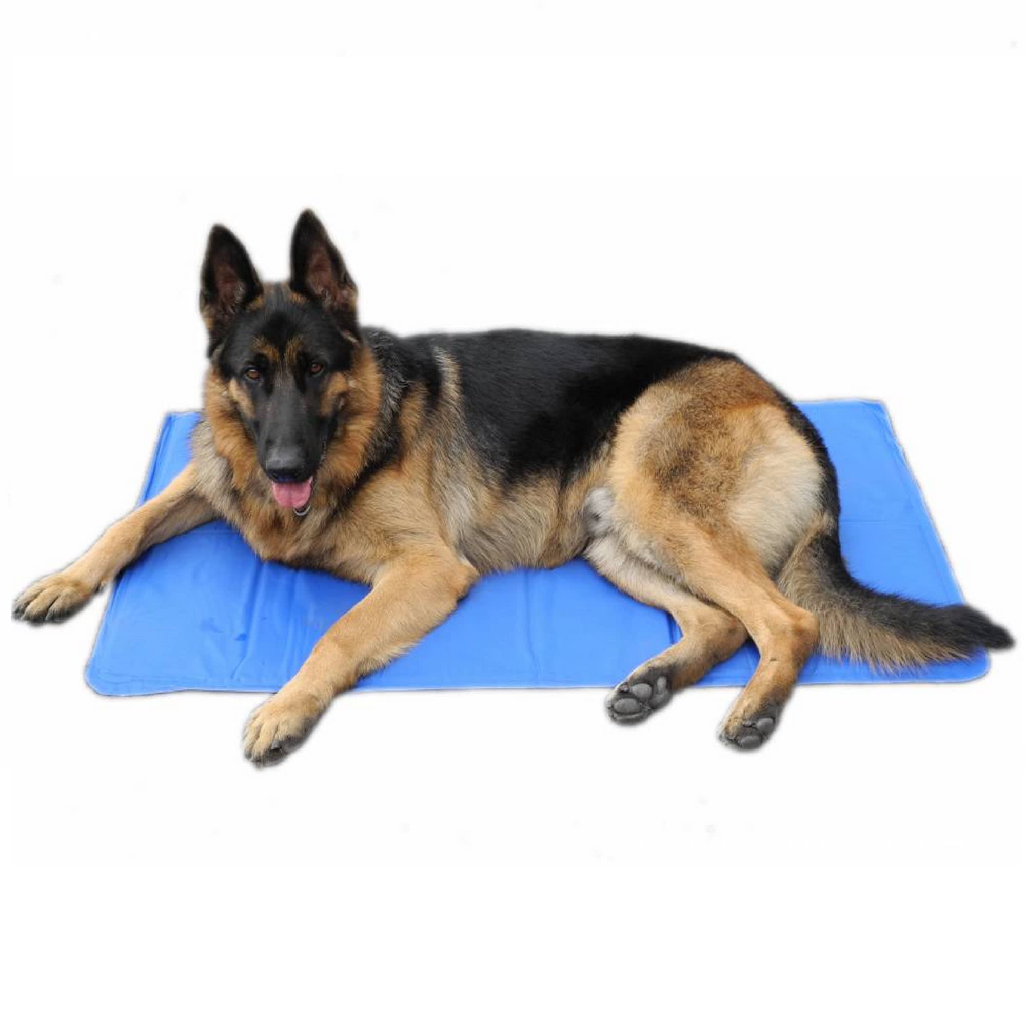 petco cooling pad