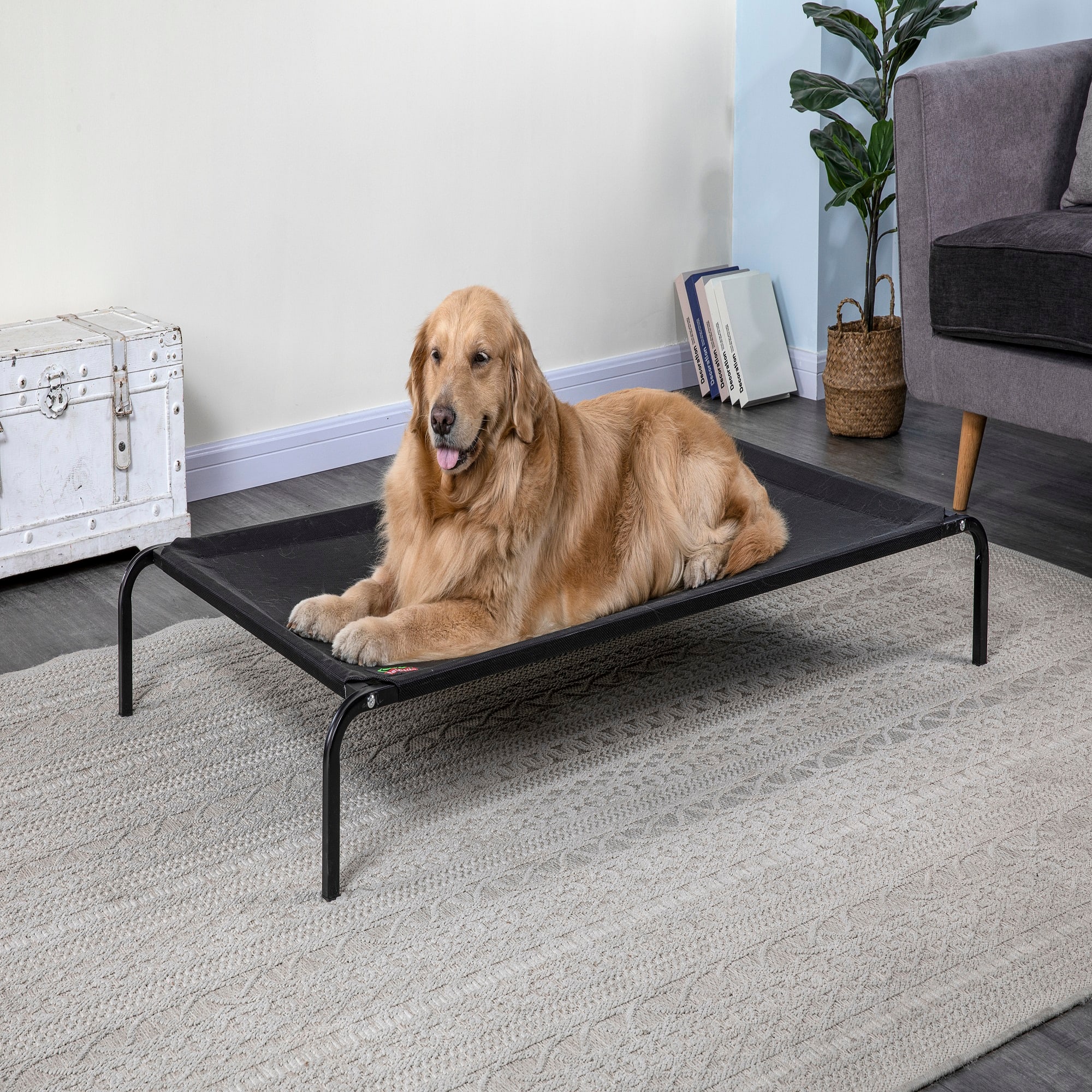 Petco elevated dog bed best sale