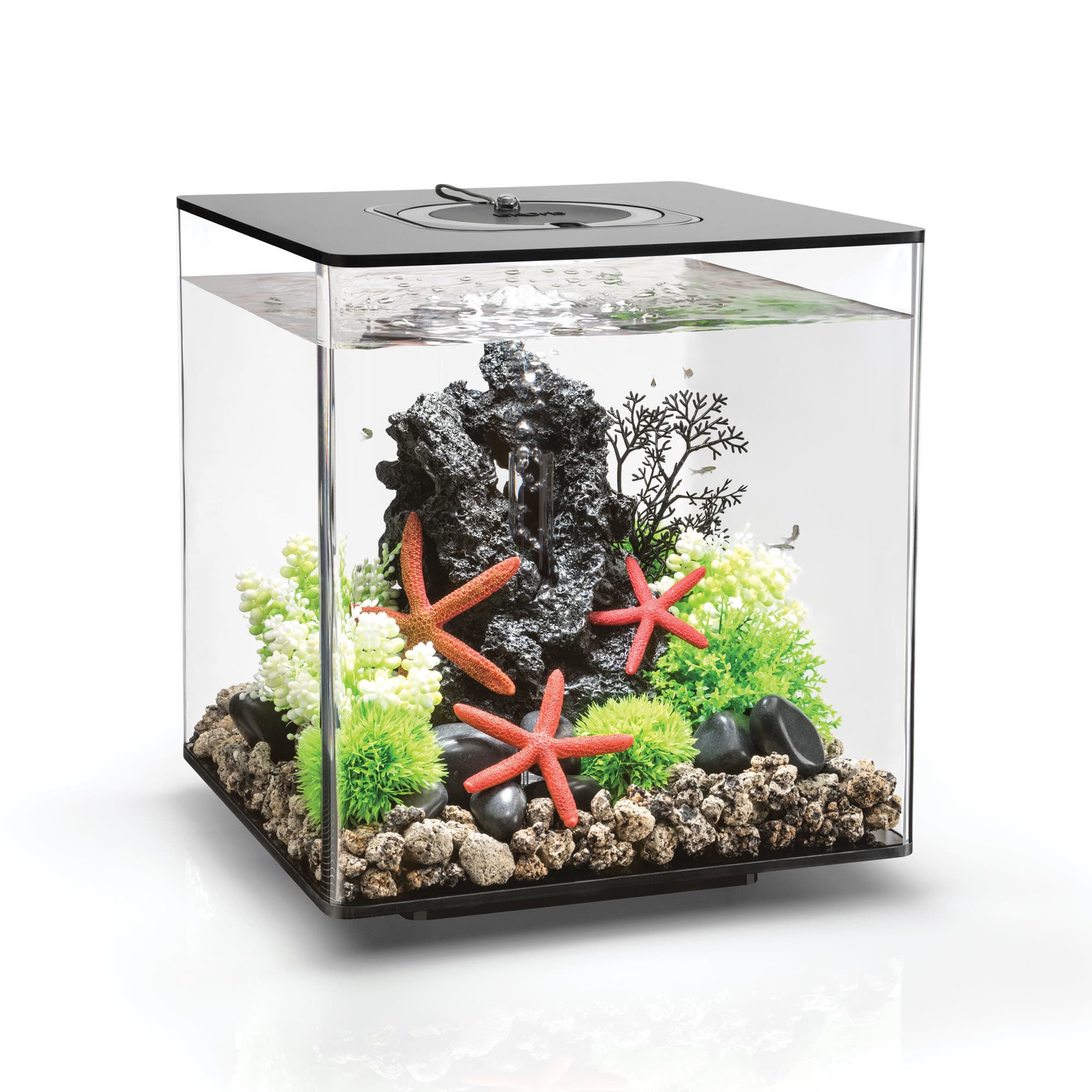 biOrb Cube Black Aquarium With Micro Light, 8 Gallon, 12.6" L X 12.6" W