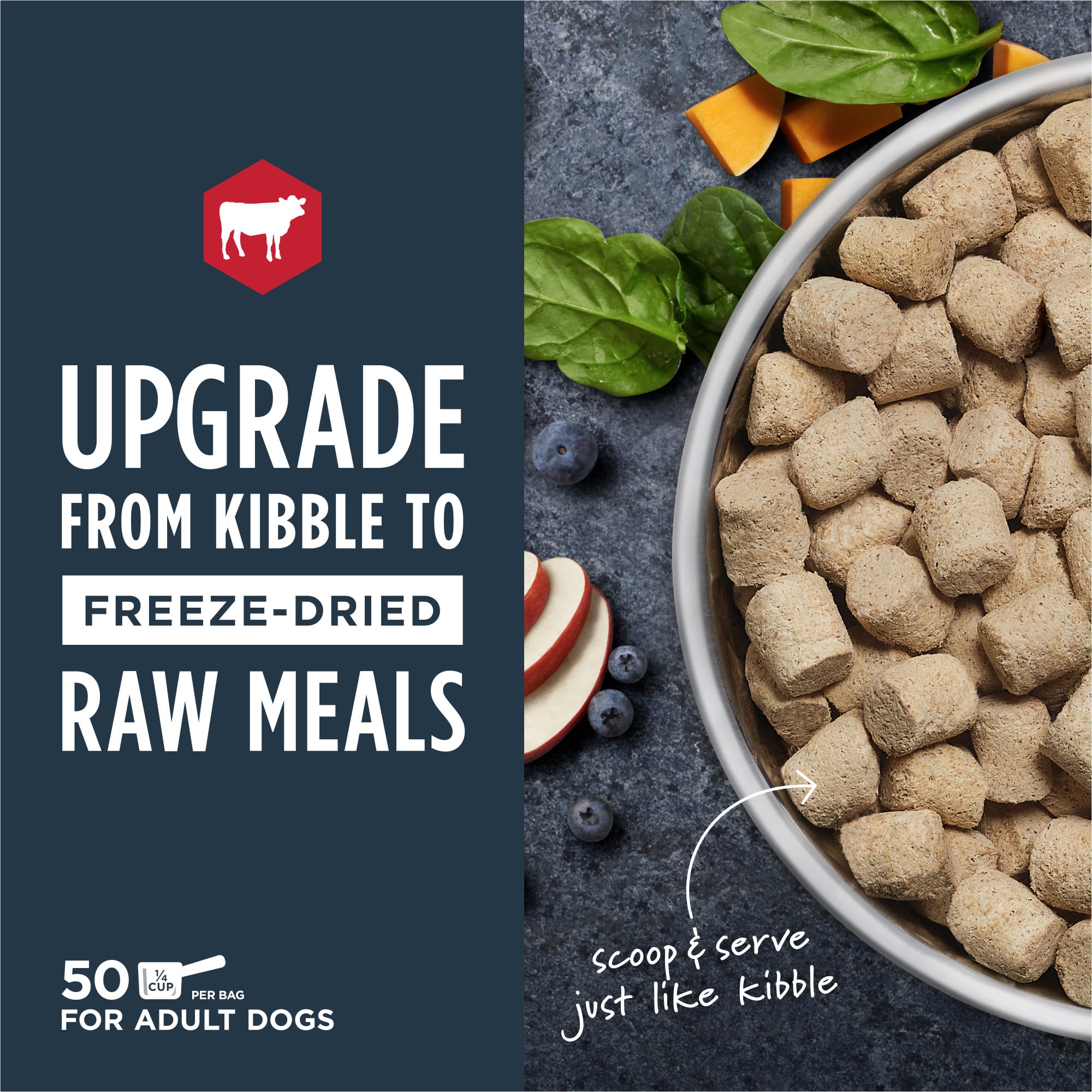 Petco instinct shop raw dog food