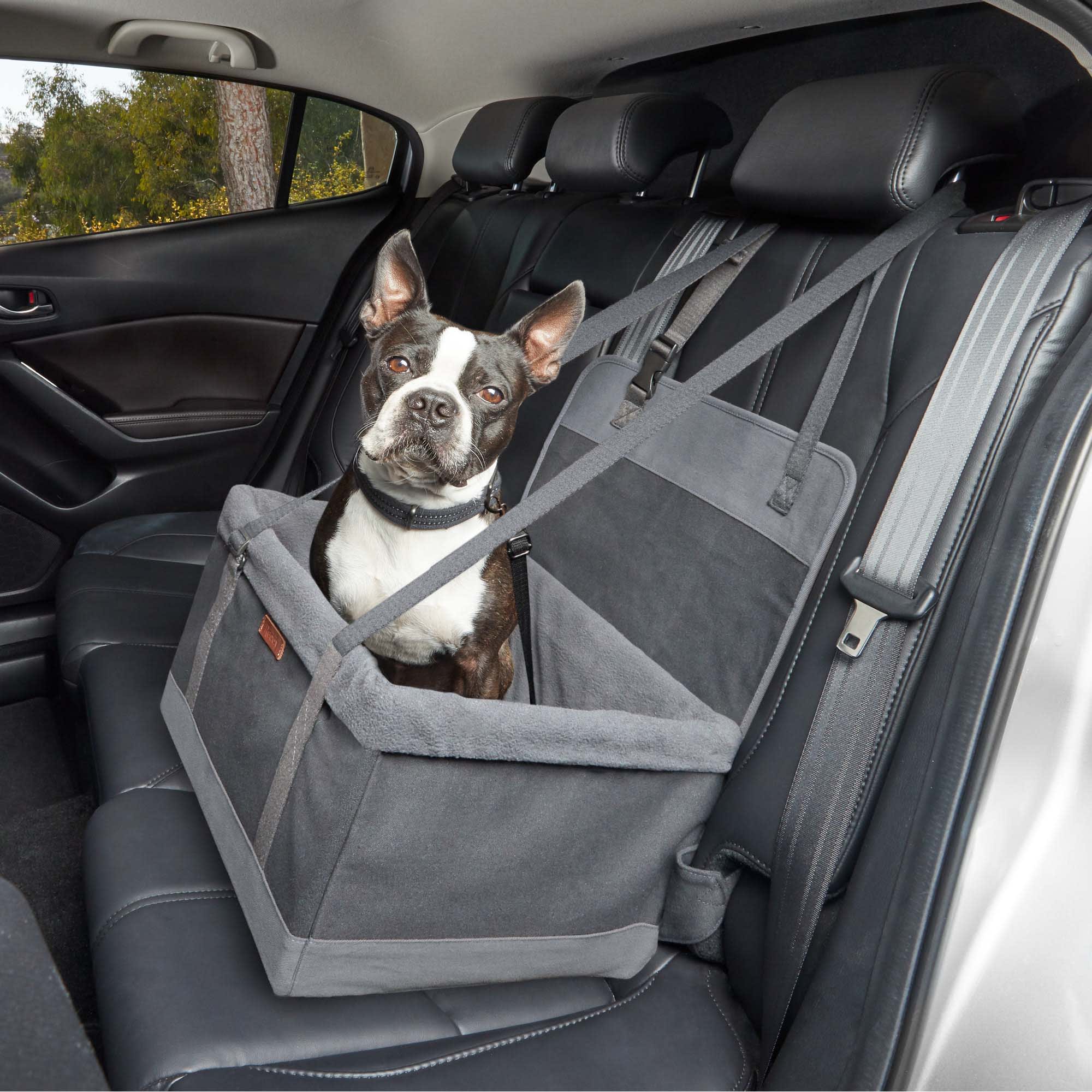 Dog car booster seat