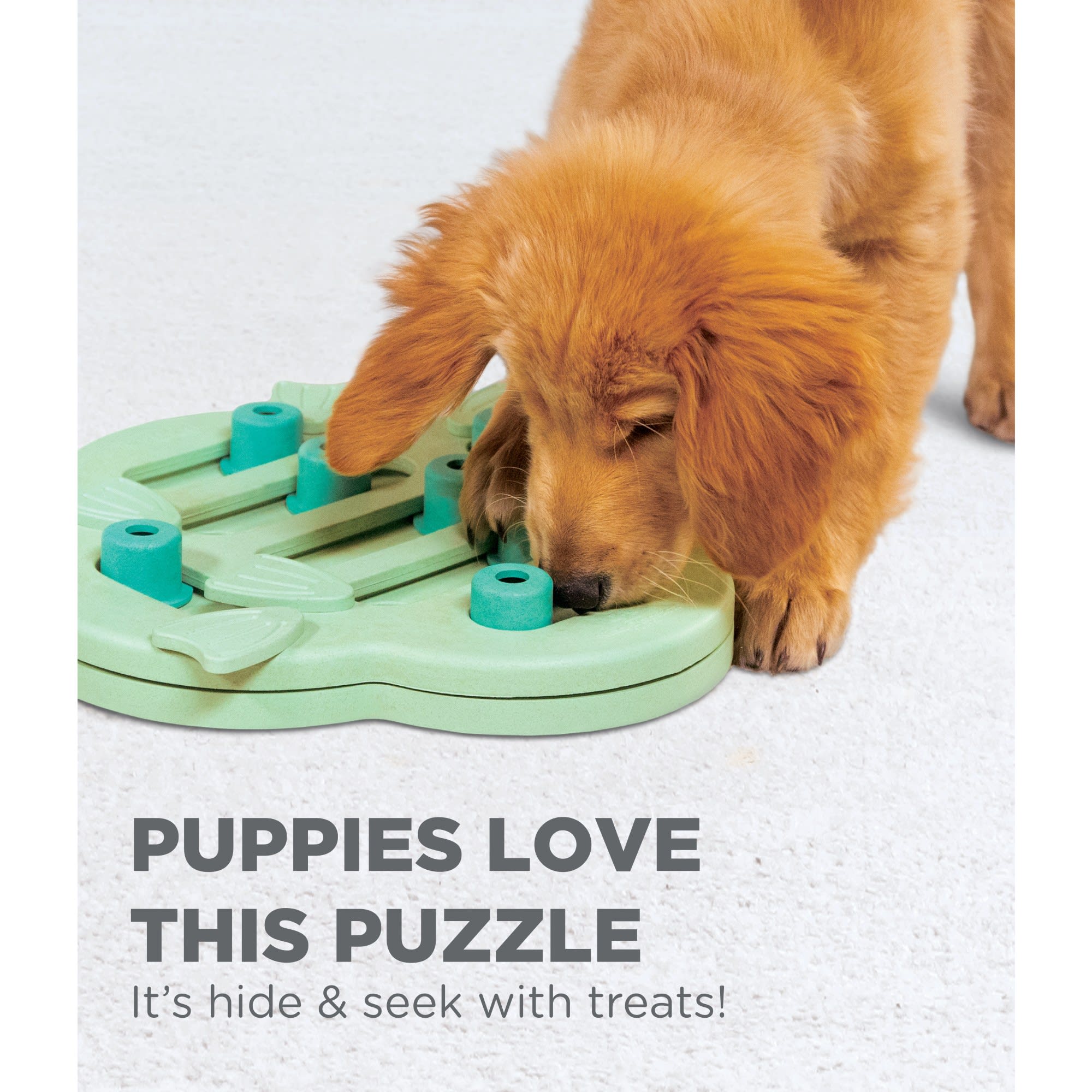Review: Nina Ottosson Hide N'Slide Dog Enrichment Puzzle - Wear