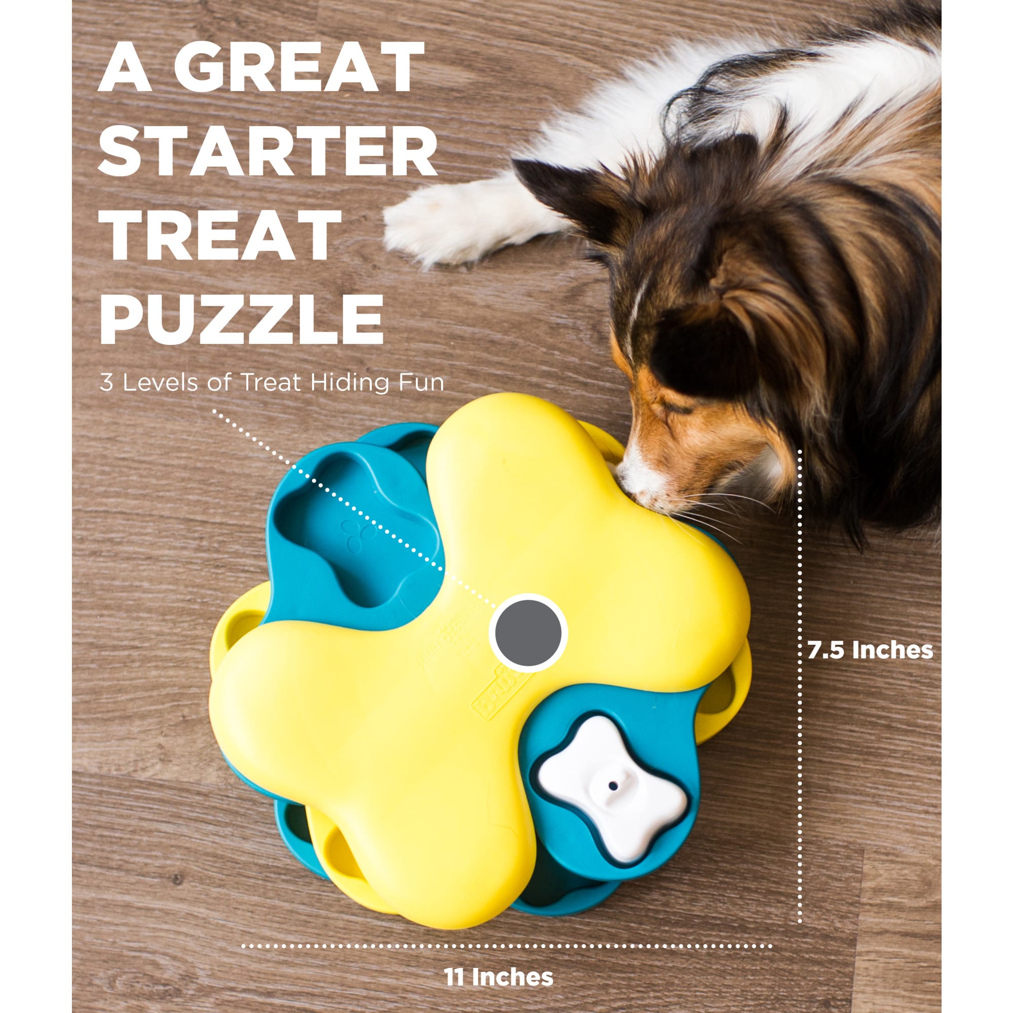 Puzzle toys for dogs petco best sale