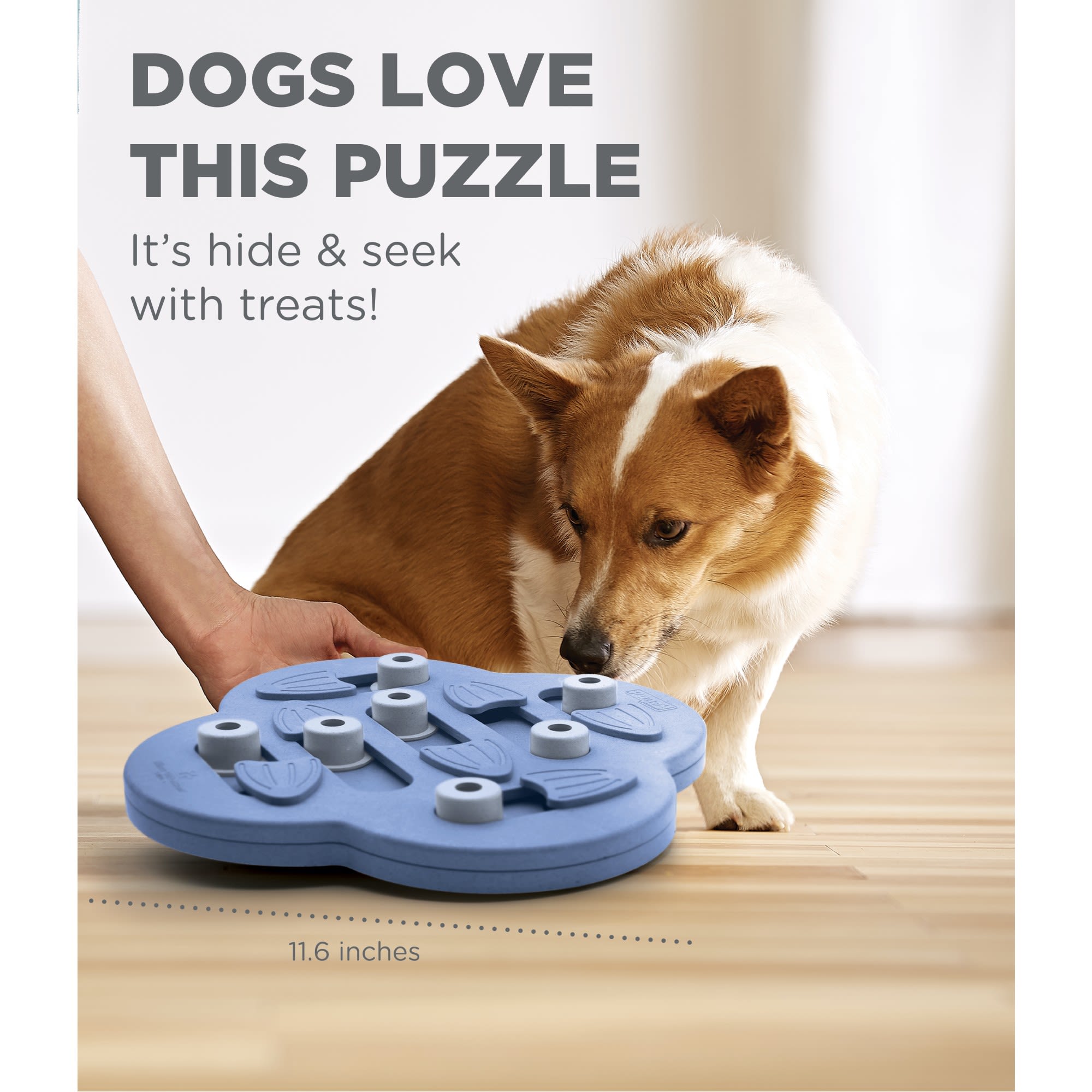 PUZZLE TOY LEVEL 3 DOG CASINO - Paws on Chicon