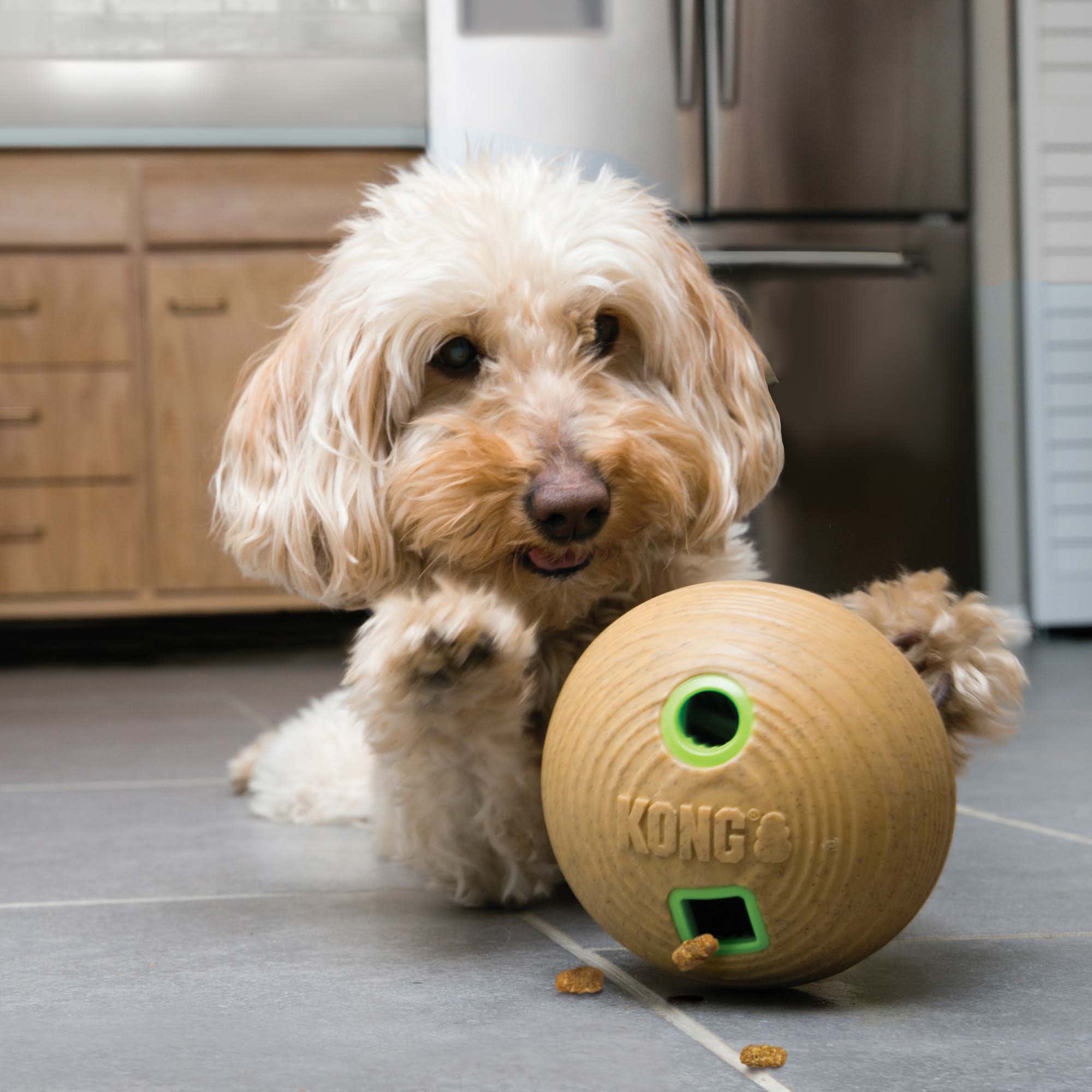 Dog Treat Ball - Dog Food Dispenser Toy – KINREX LLC