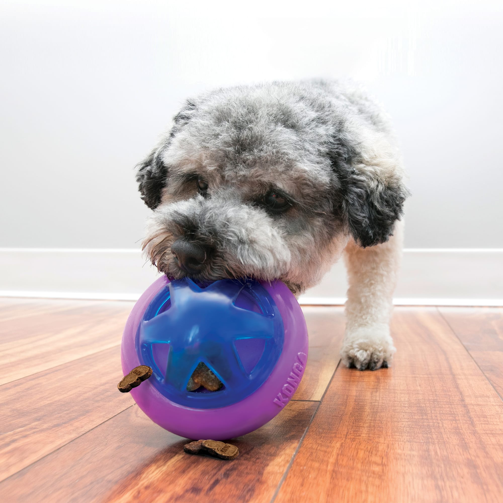 KONG Rewards Treat Dispenser Ball Small Dog Toy