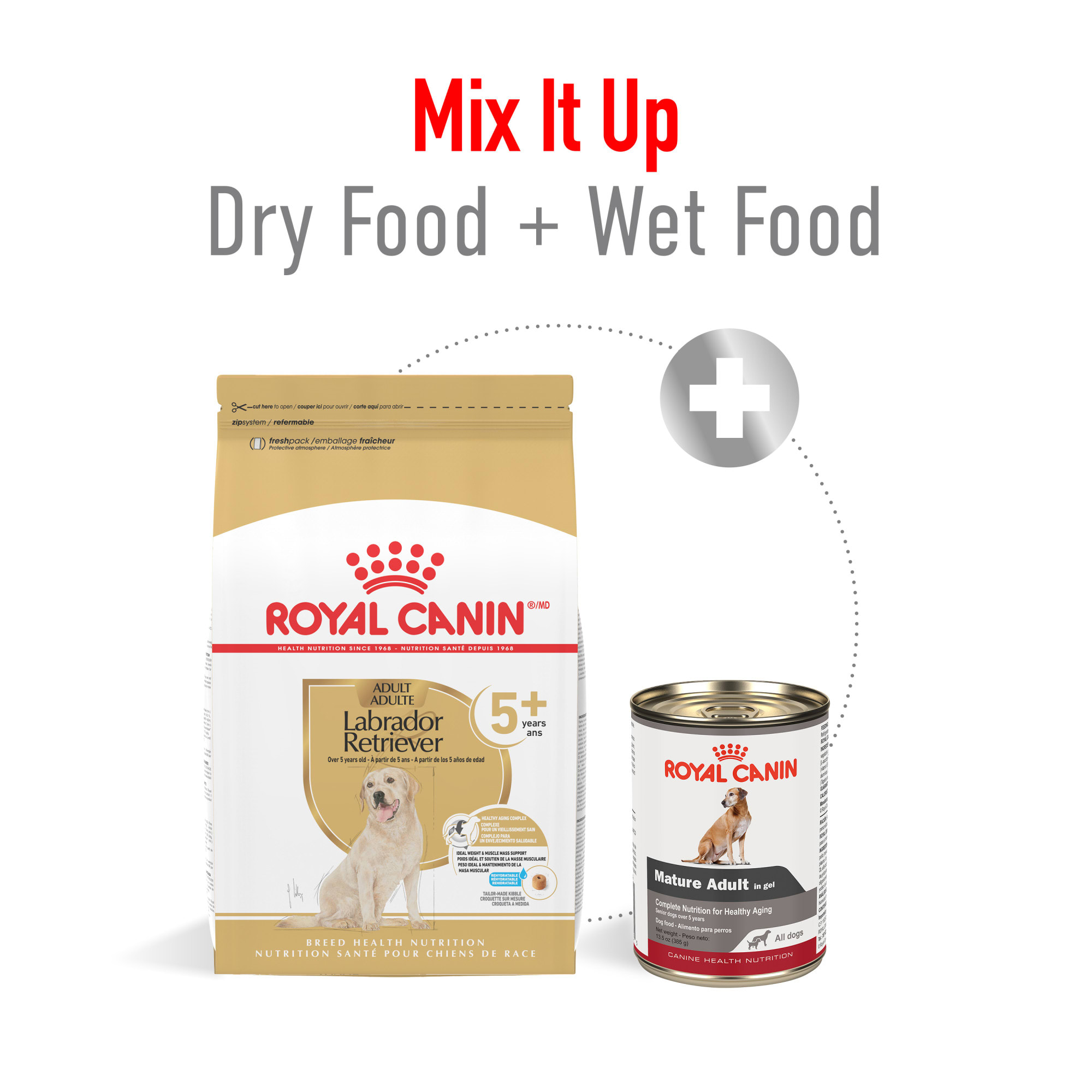best automatic dog feeder for wet food Ovvi - Ovvi Automatic Pet Feeder / 1 Year