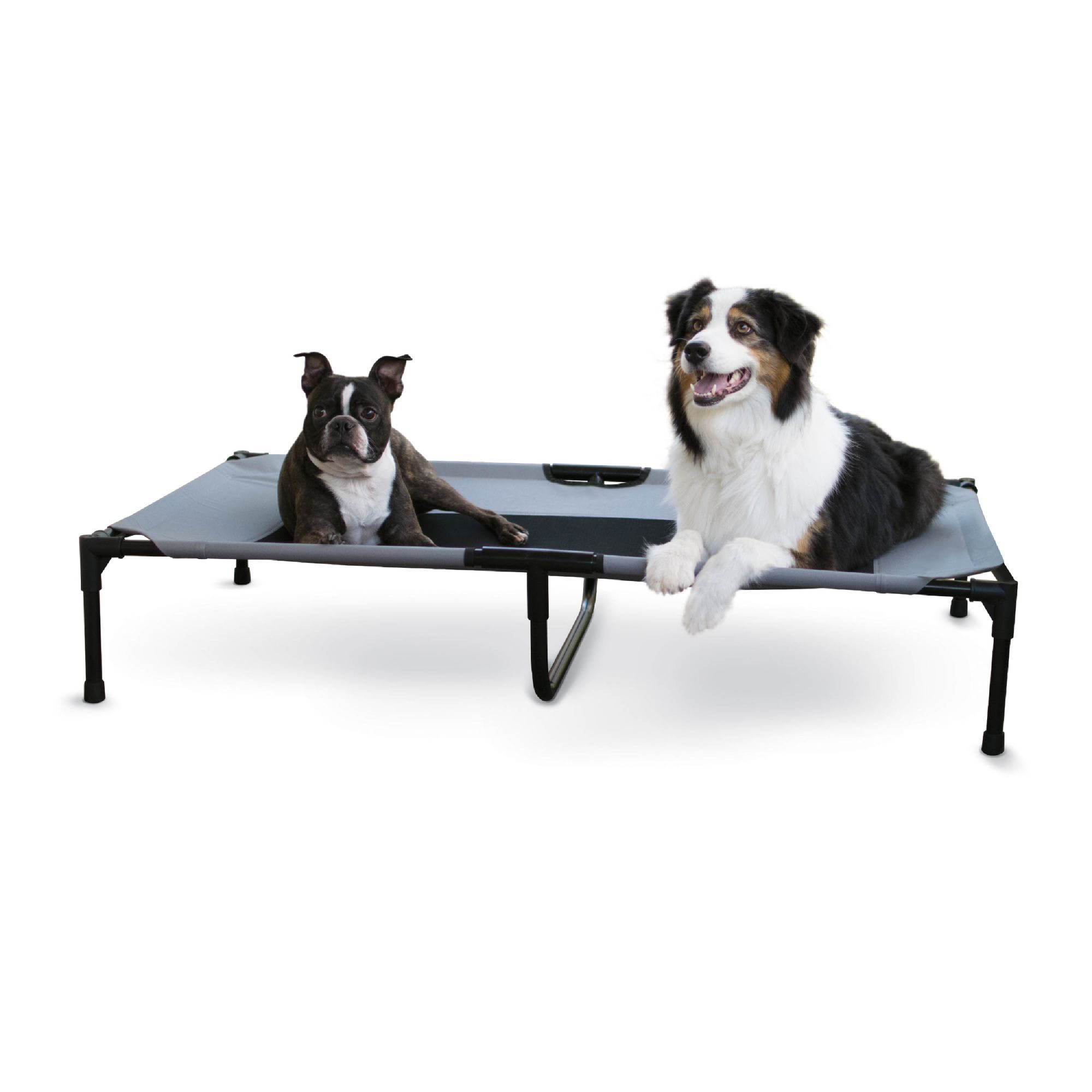 k-h-original-pet-cot-elevated-pet-bed-32-l-x-50-w-x-9-h-gray-petco