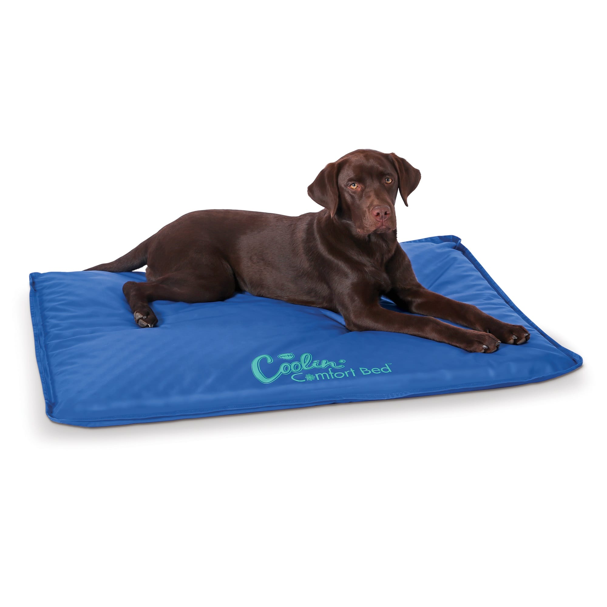K&H Coolin' Comfort Orthopedic Cooling Dog Bed Large Blue