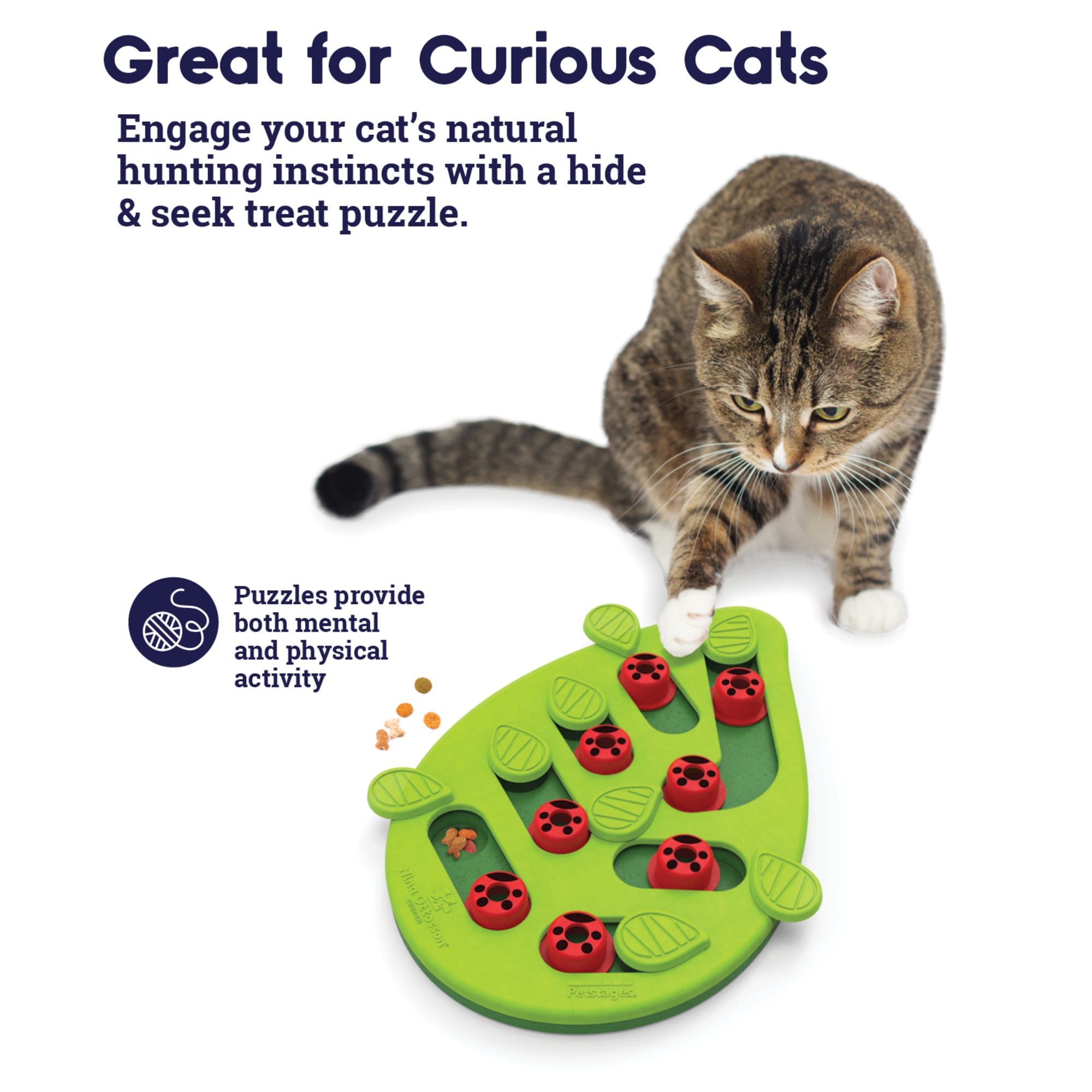 Petstages Buggin Out Puzzle Play Cat Toy