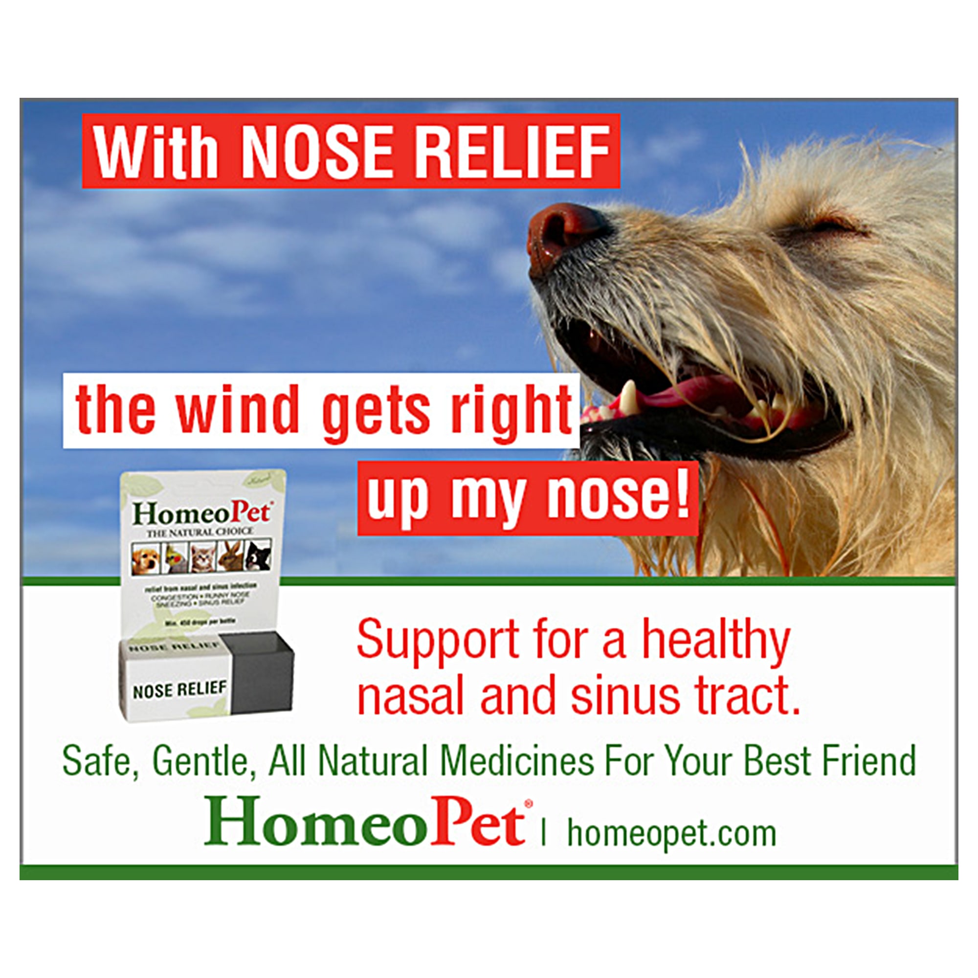 Homeopet nose cheap relief petco