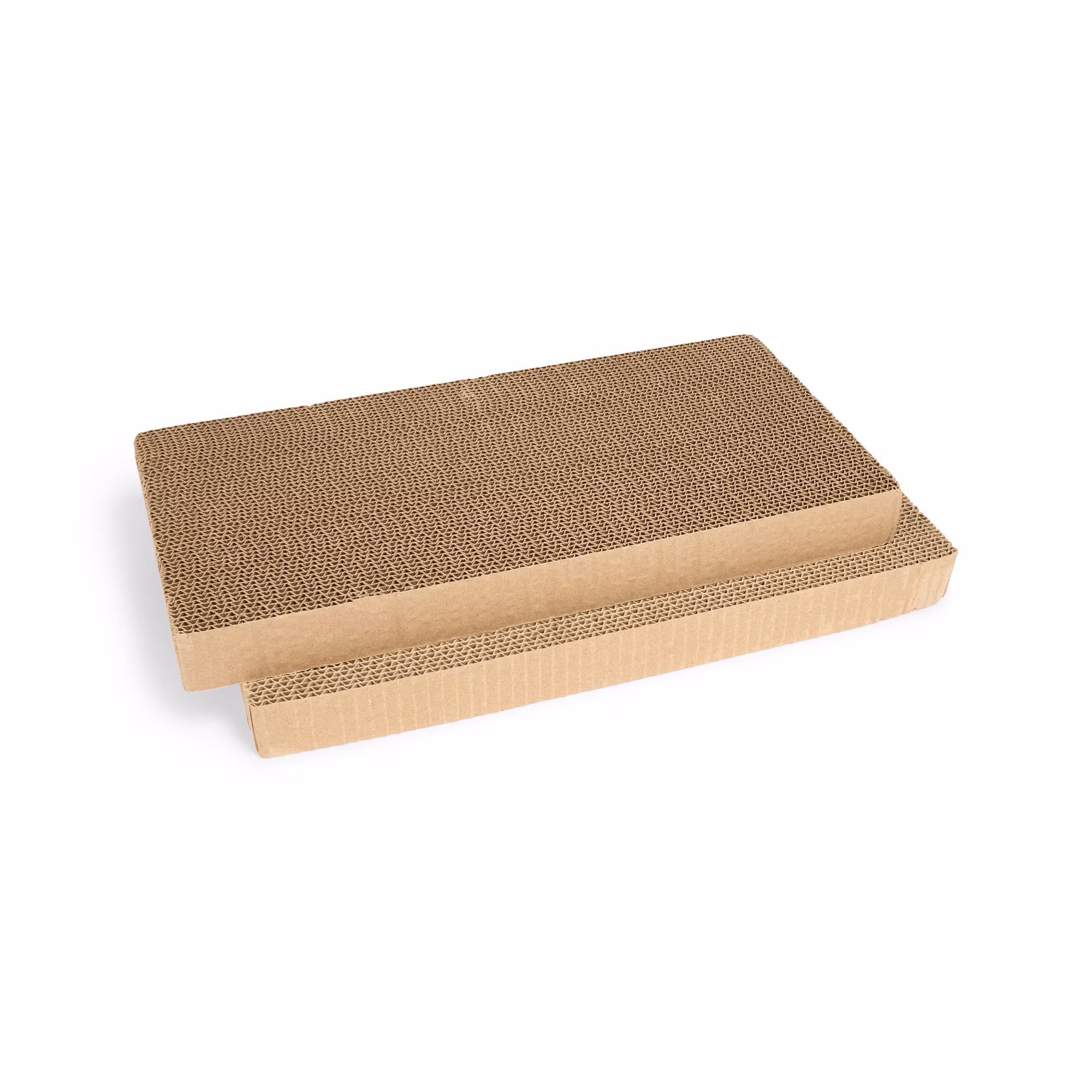 EveryYay Scratchin' the Surface Double-Wide Cardboard Refills for