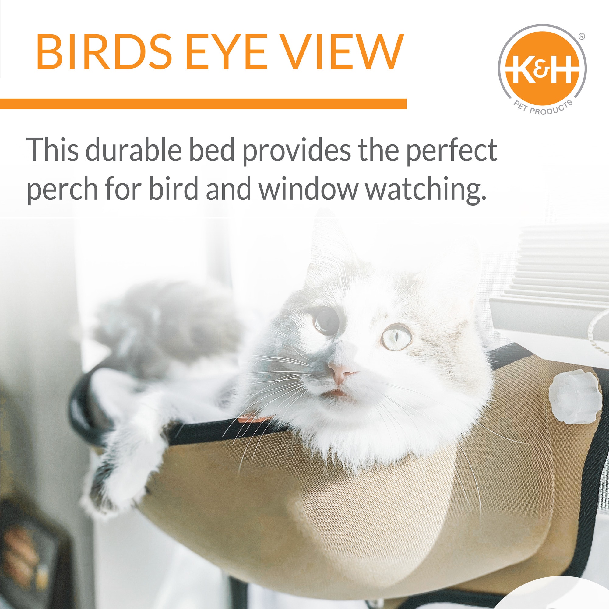 Cat window perch petco sale