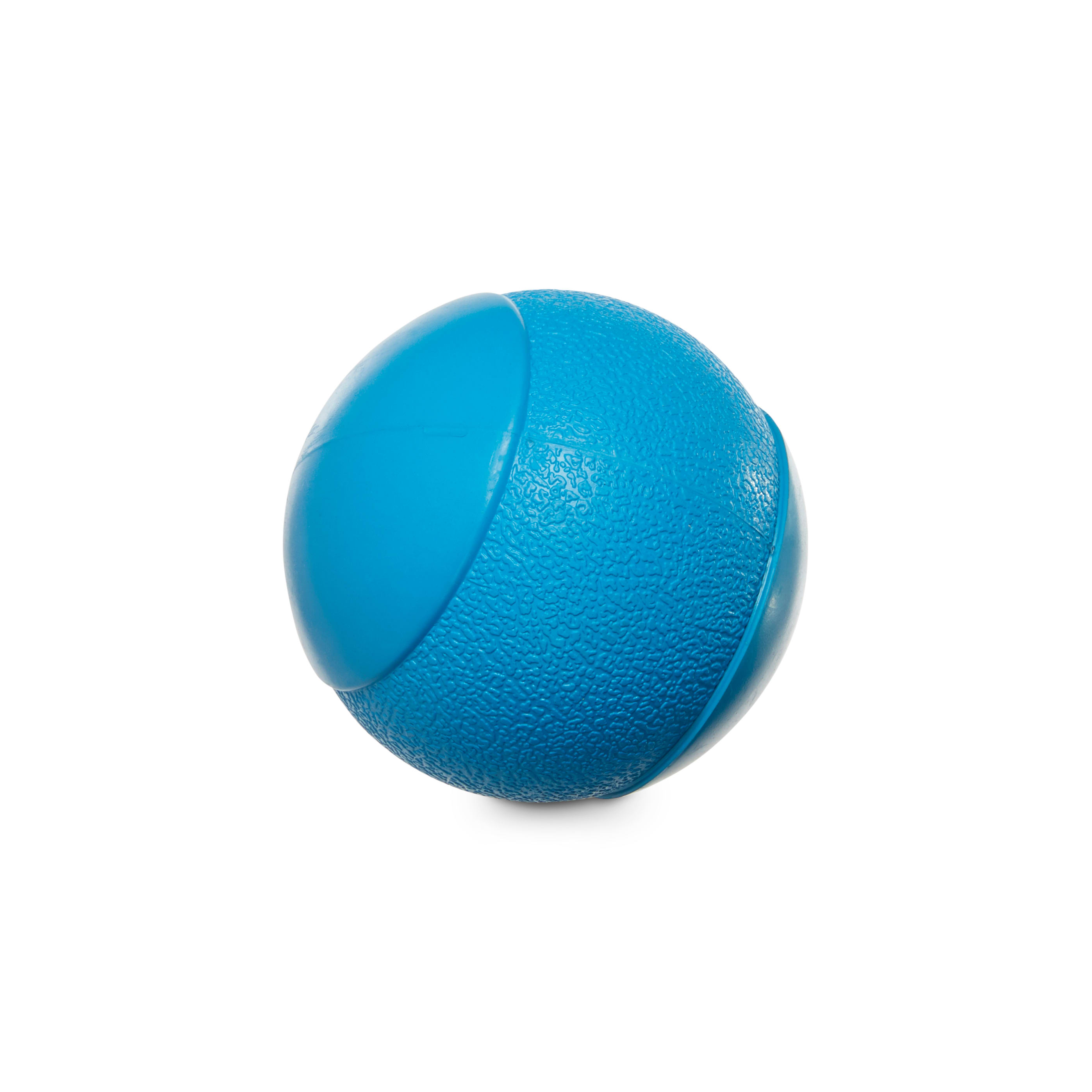 Blue clearance dog ball