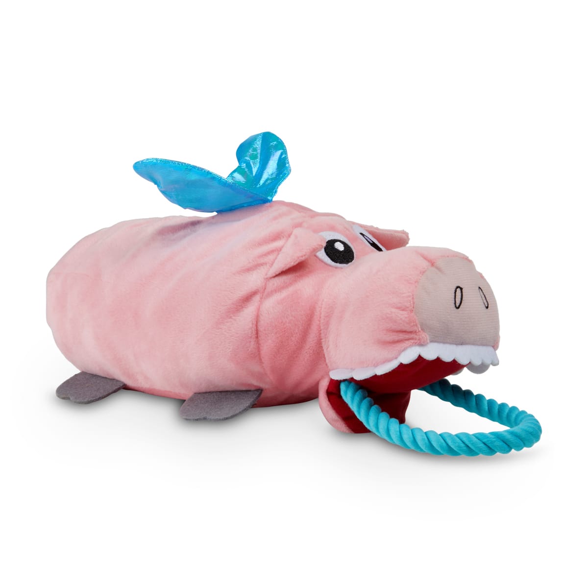 pig dog toy petco