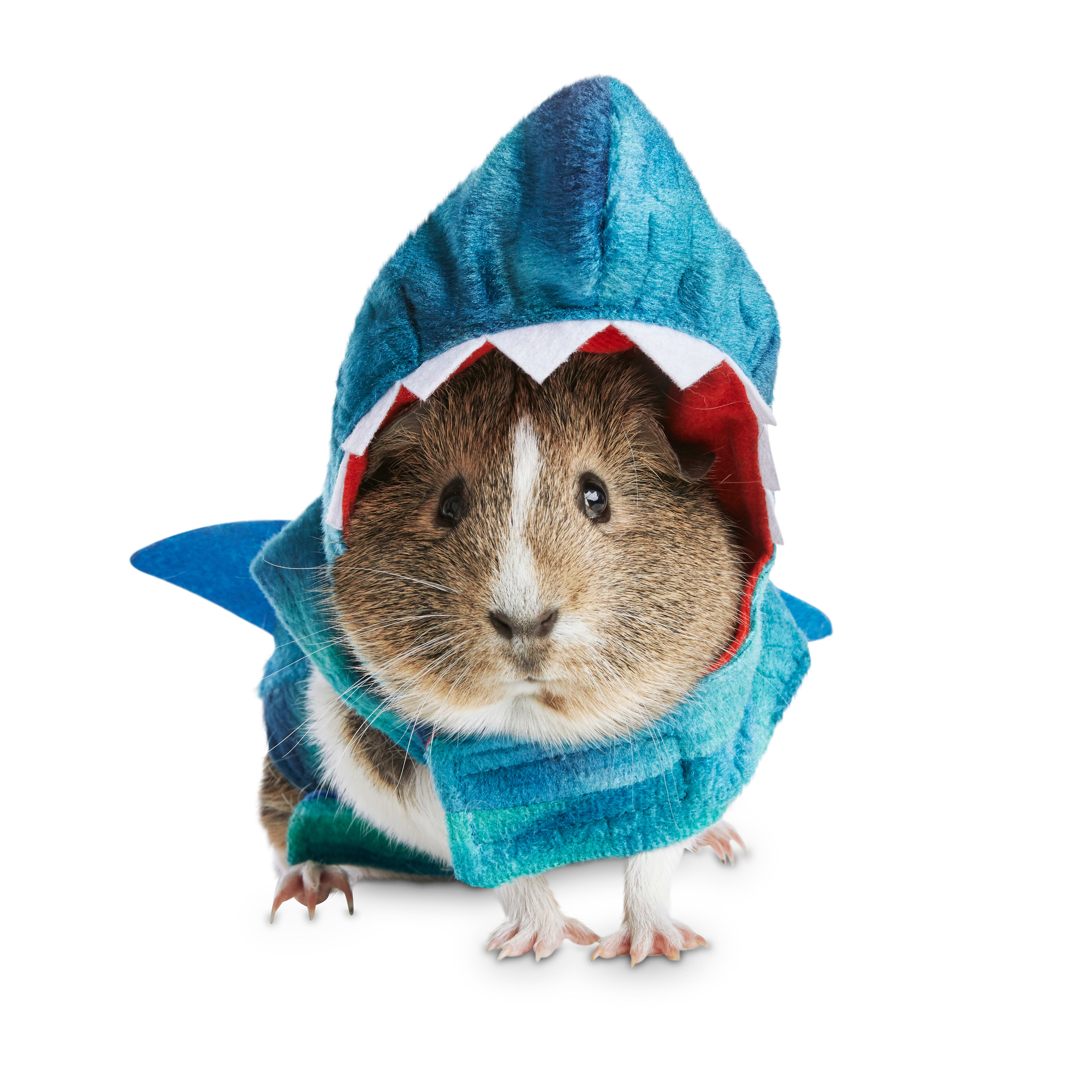 mickey mouse dog collar and leash