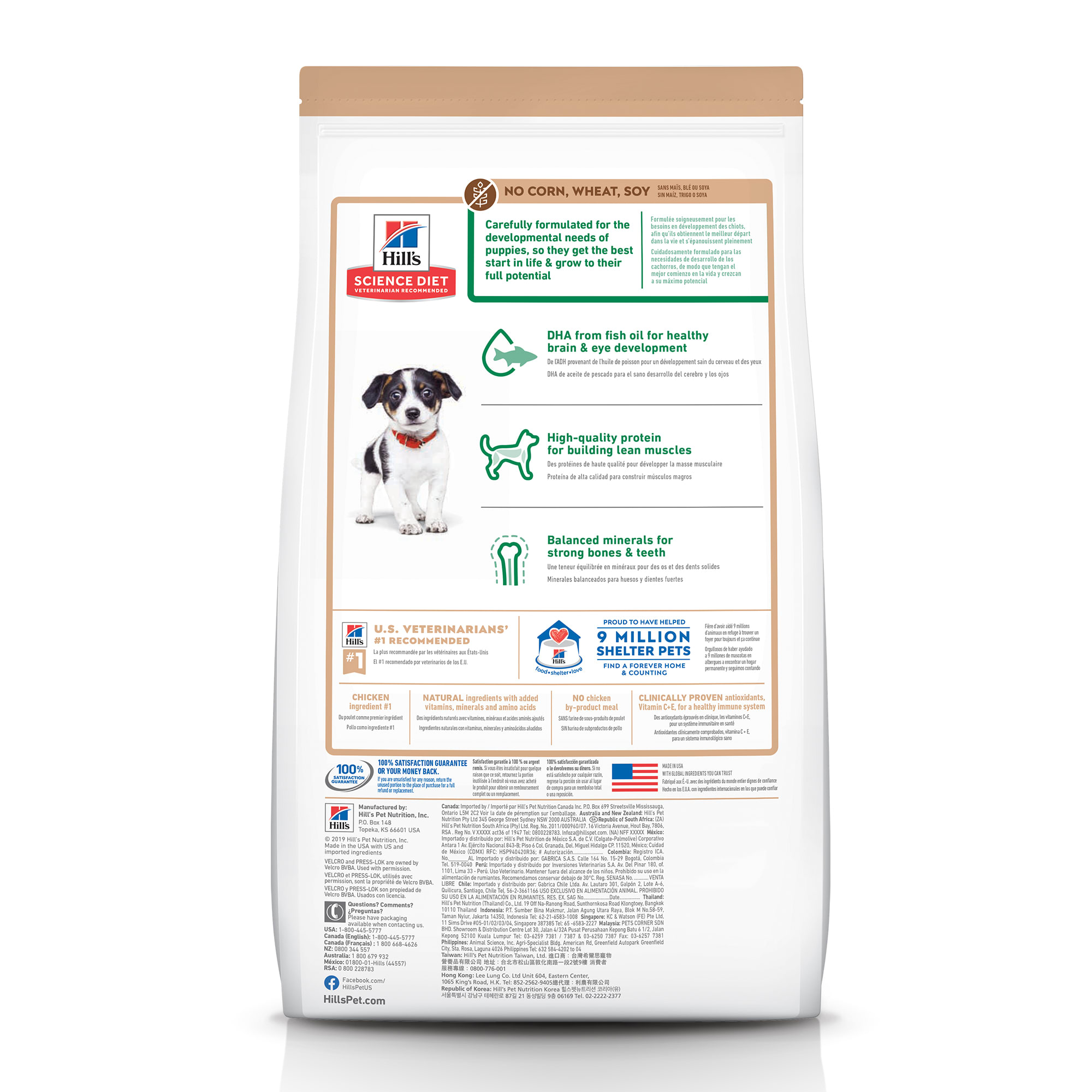 Science diet 2025 puppy food petco