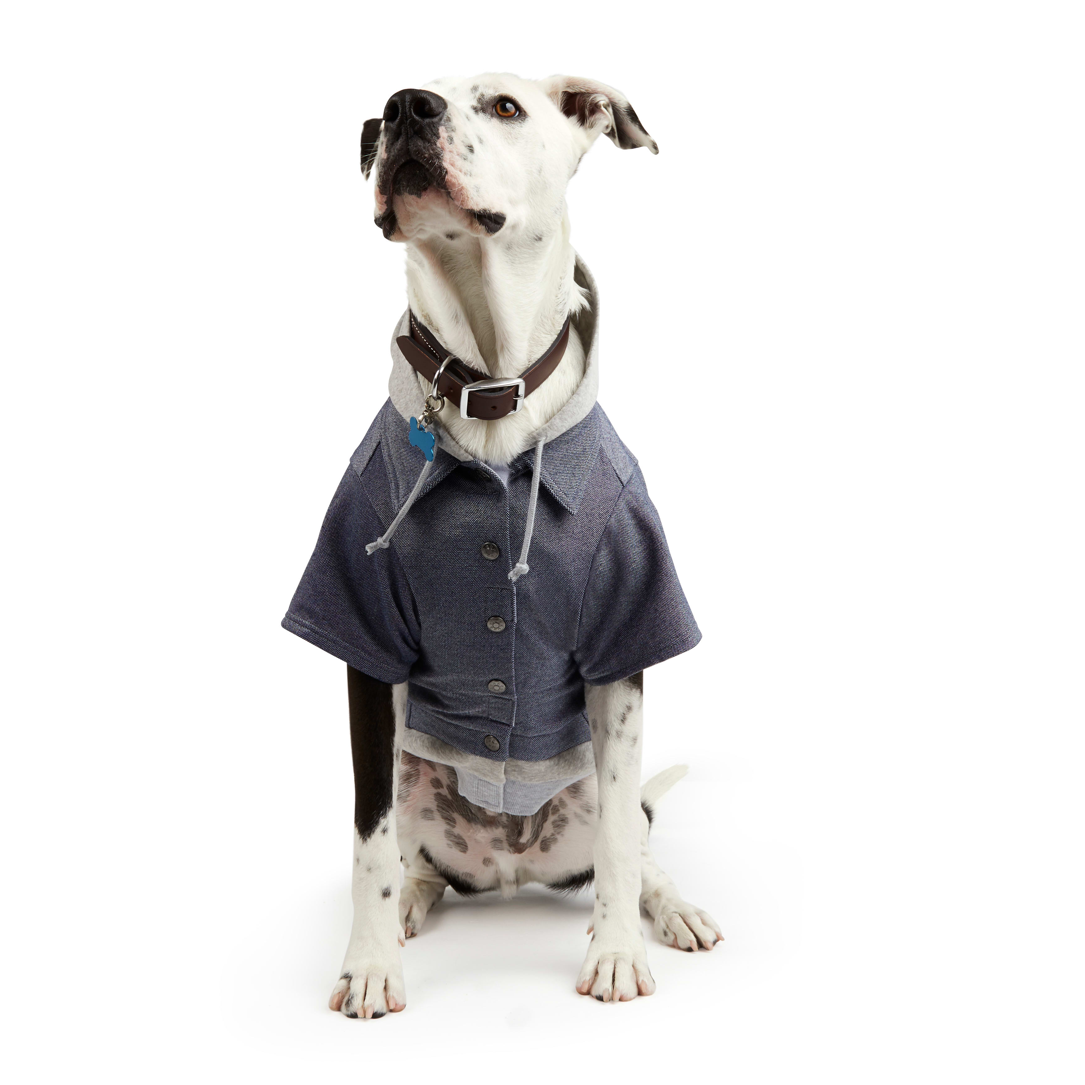 small dog denim jacket