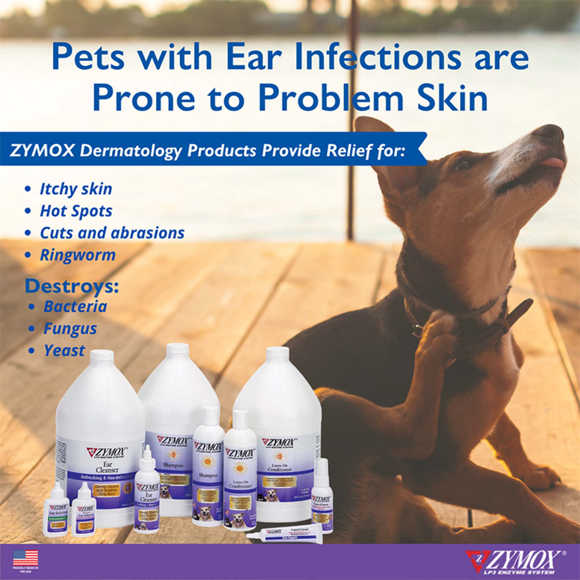 Dog ear hotsell infection medicine petco