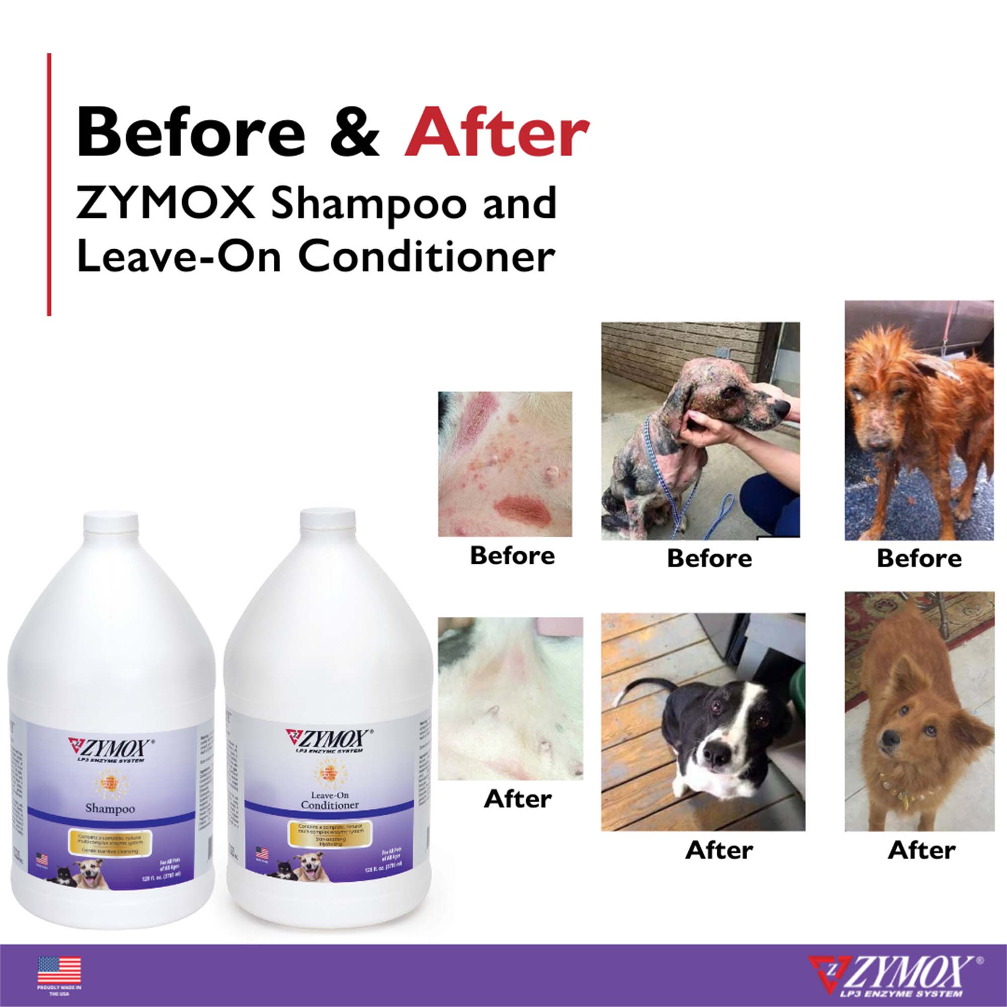 Zymox shampoo and outlet conditioner