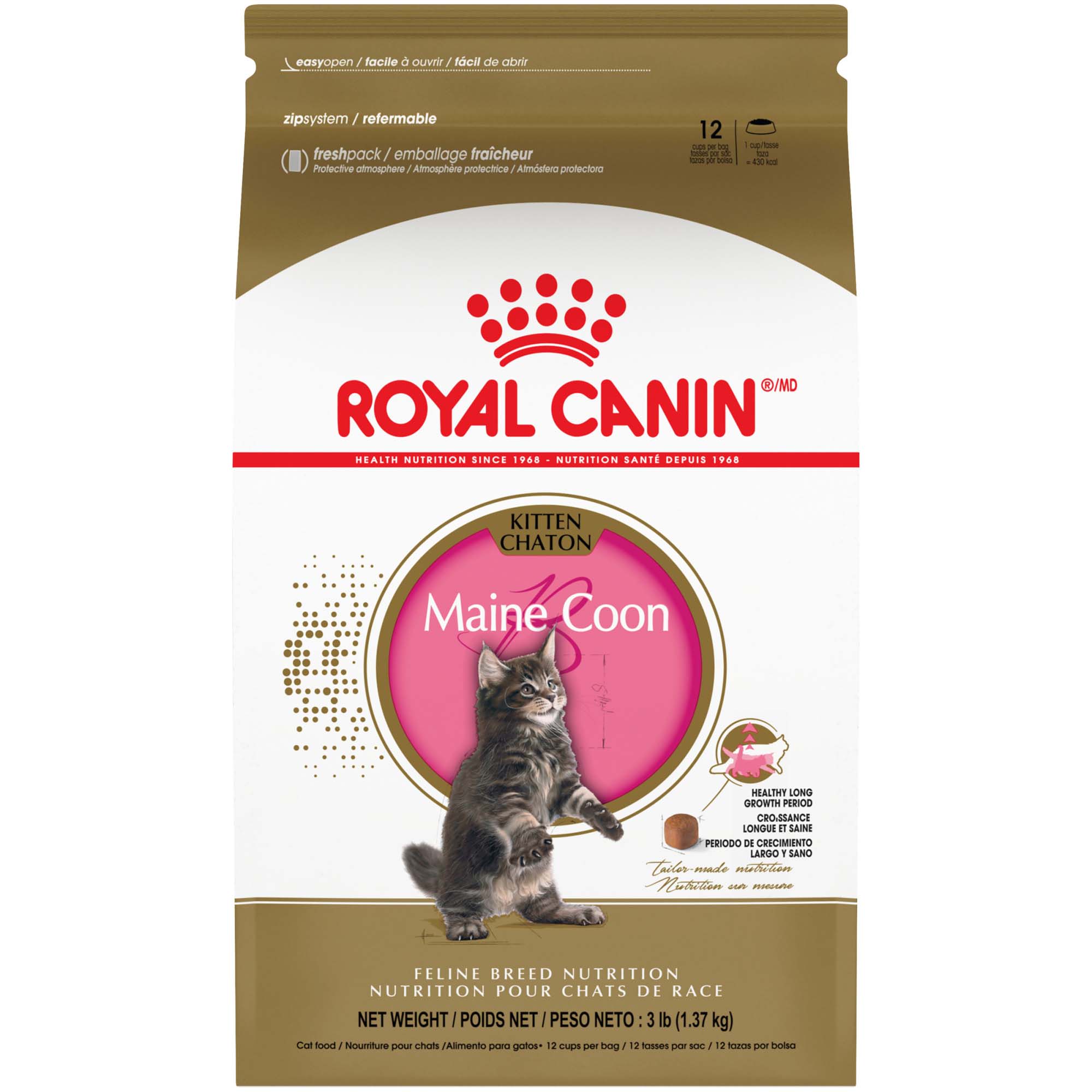 Royal canin best sale maine coon