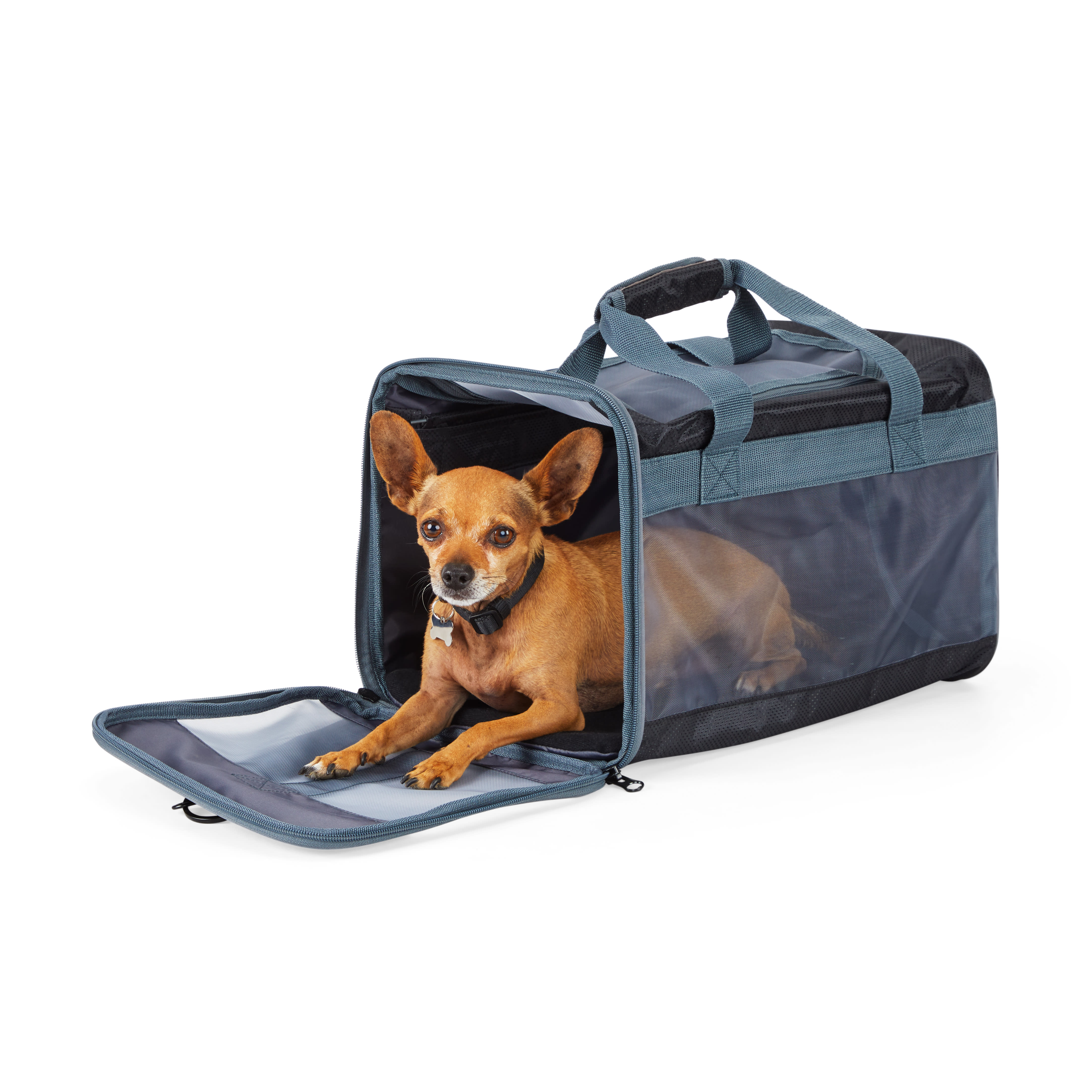 EveryYay Places To Go Black Pet Carrier, Small