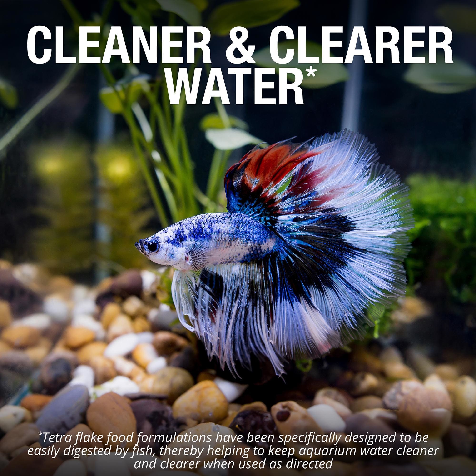 Tetra 2025 betta flakes