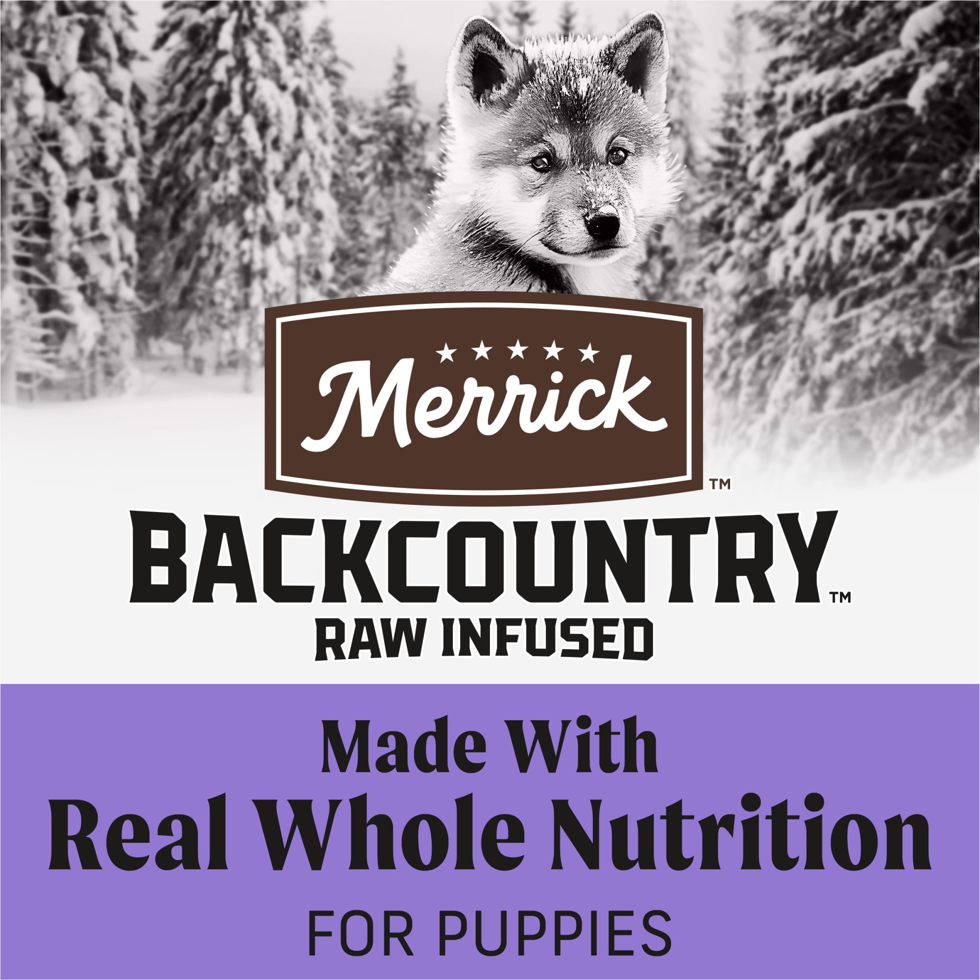 Merrick raw infused puppy food sales