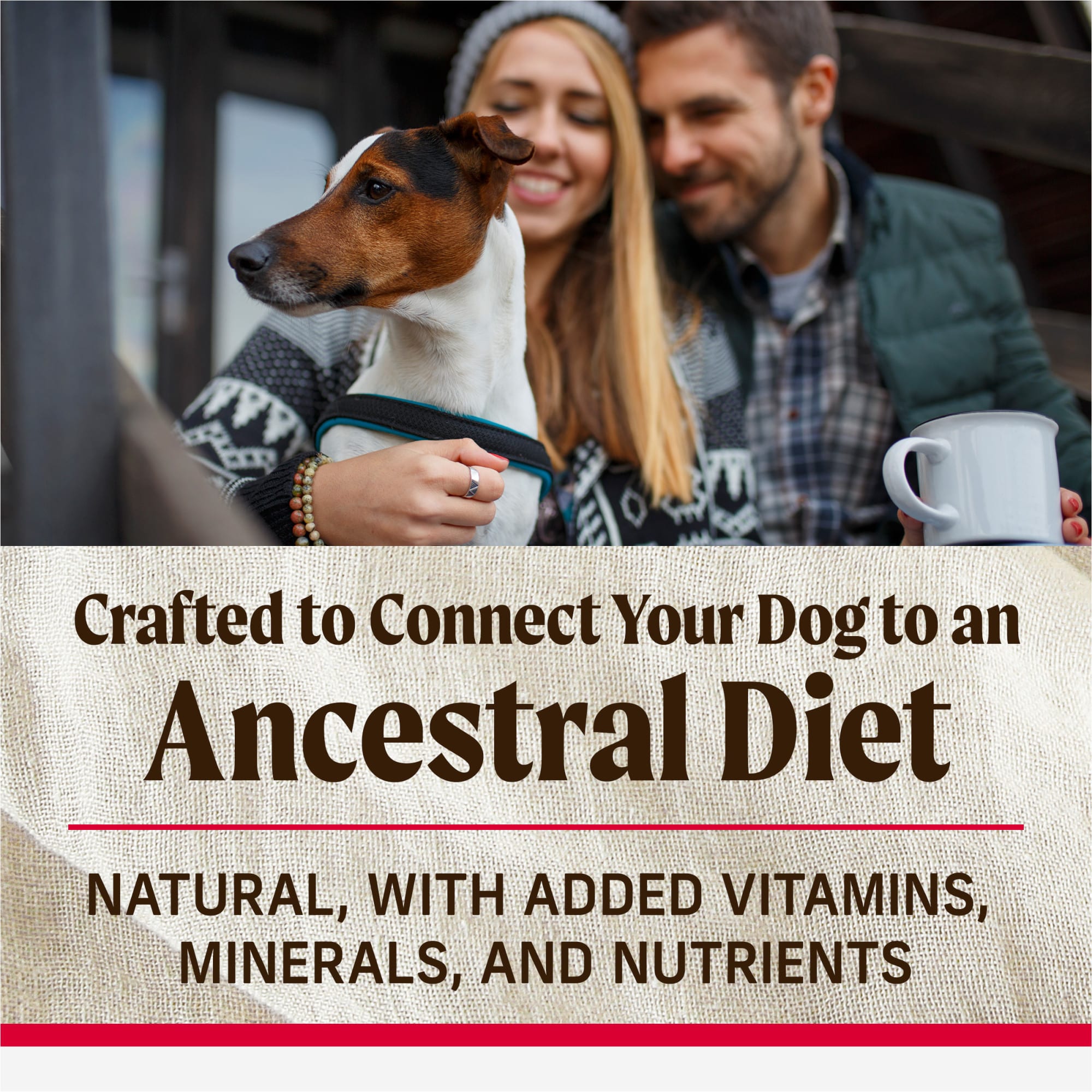 Merrick Backcountry Great Plains Red Recipe with Healthy Grains Raw Infused Dry Dog Food 20 lbs
