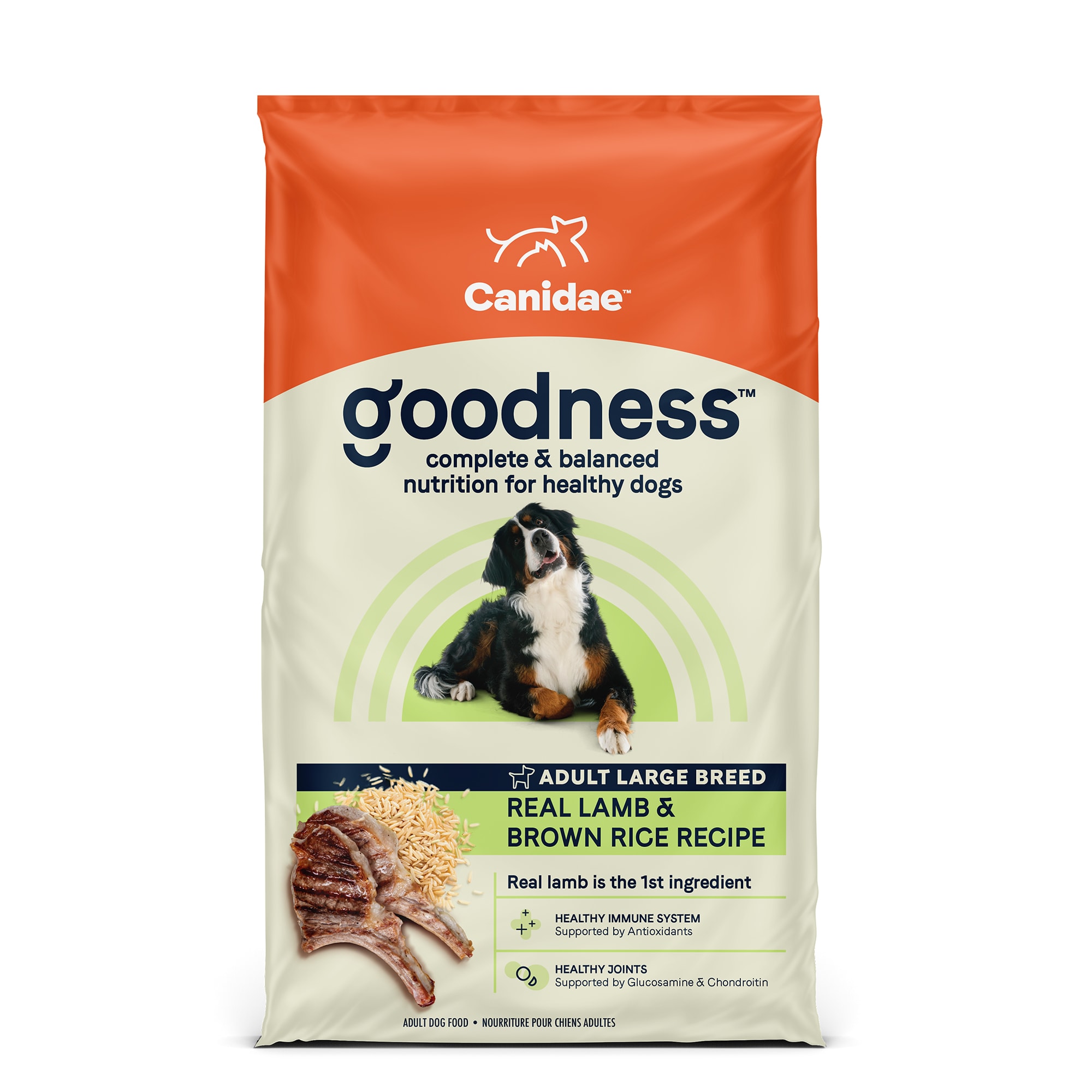 large breed dry dog food