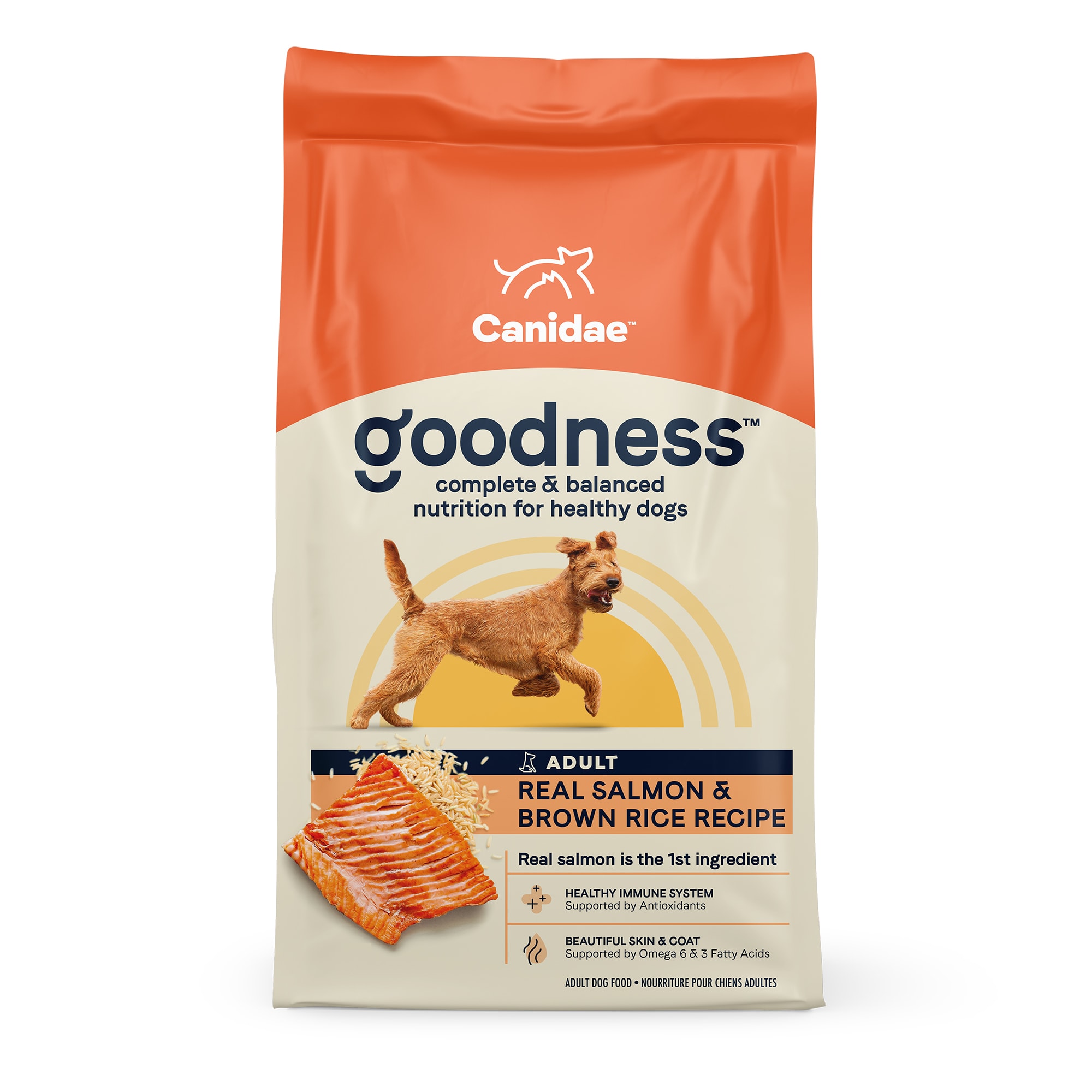 Canidae Goodness Adult Salmon & Brown Rice Dry Dog Food, 25 lbs. | Petco