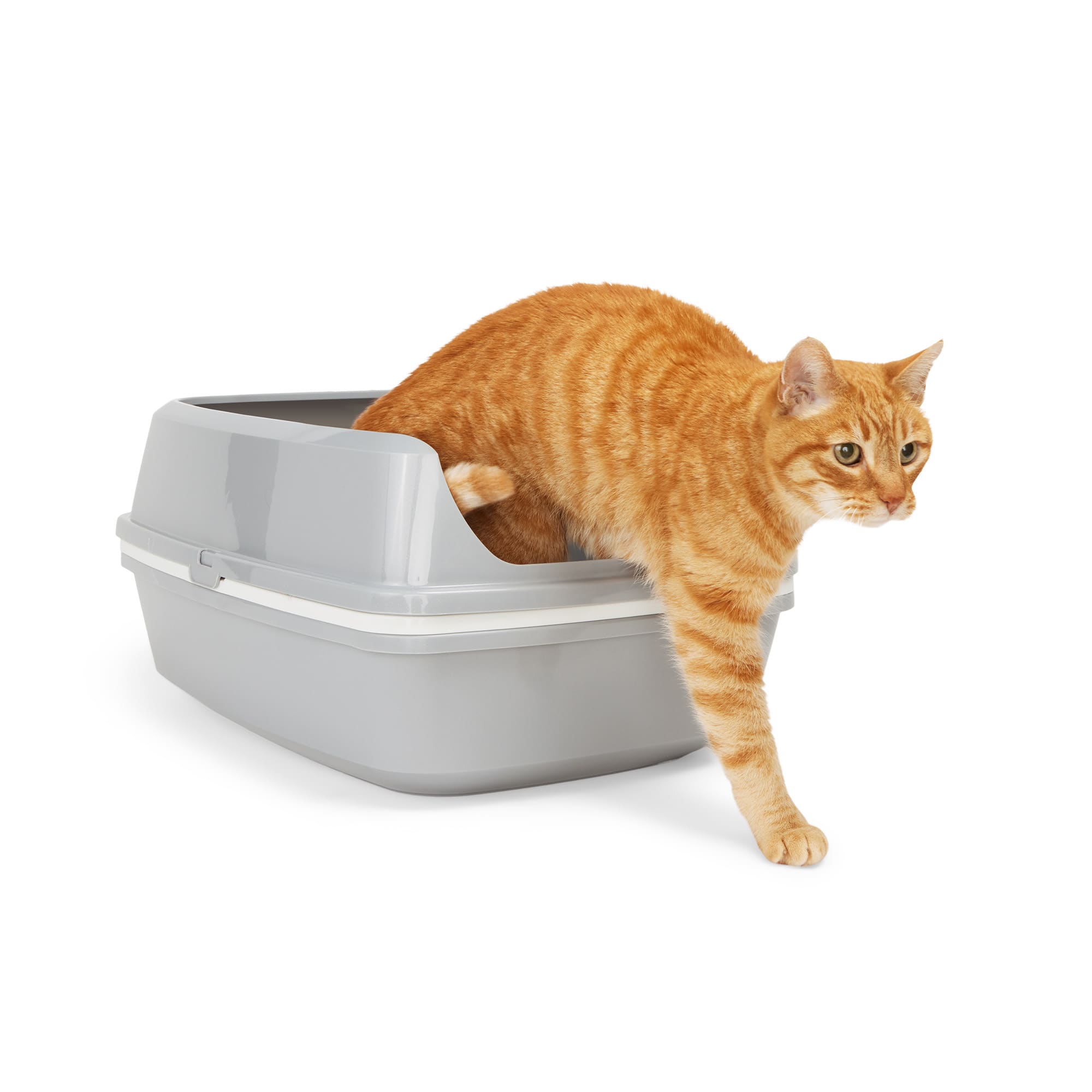 So Phresh Disposable Litter Box Set, 16.7 L X 12.6 W X 4.3 H