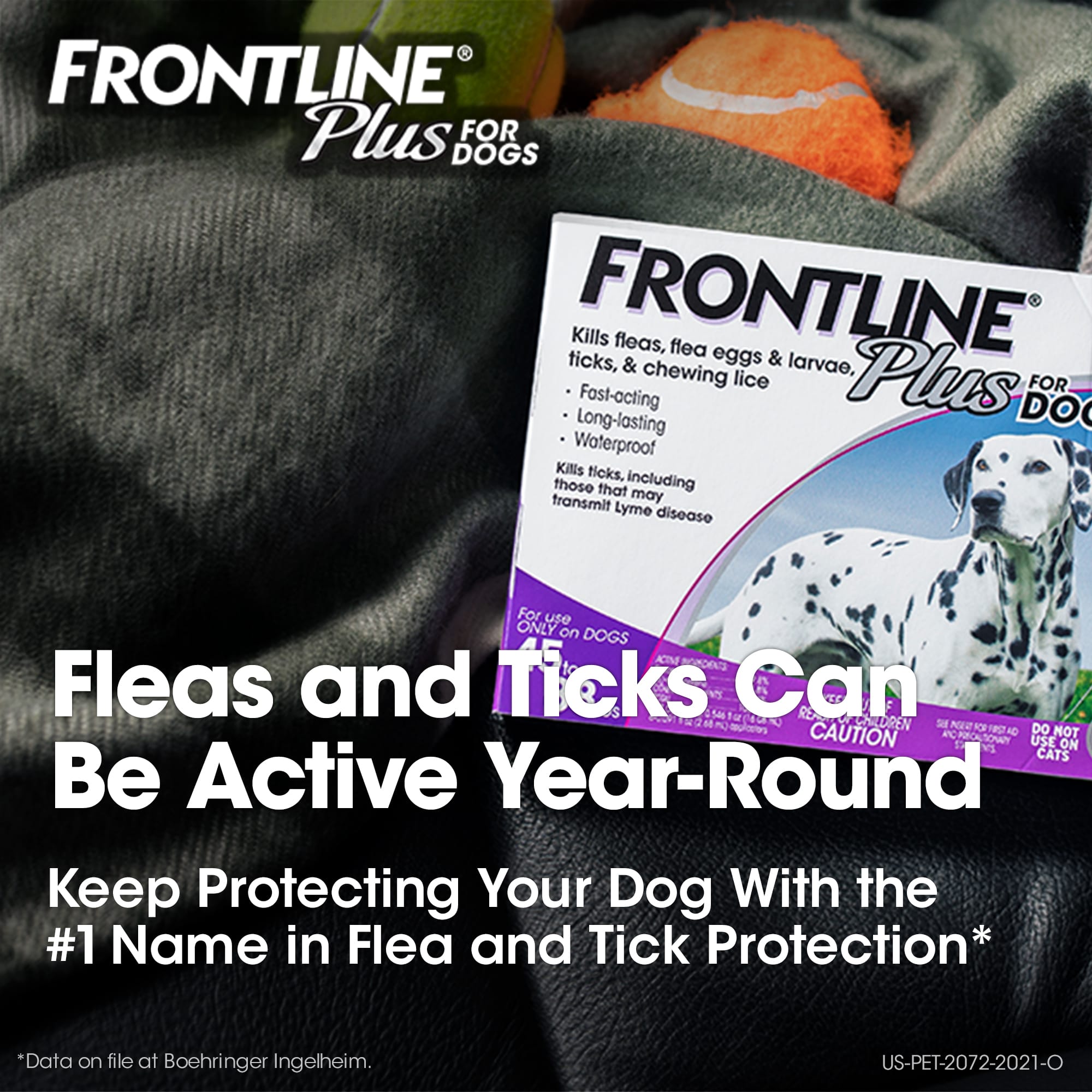 Frontline flea outlet meds