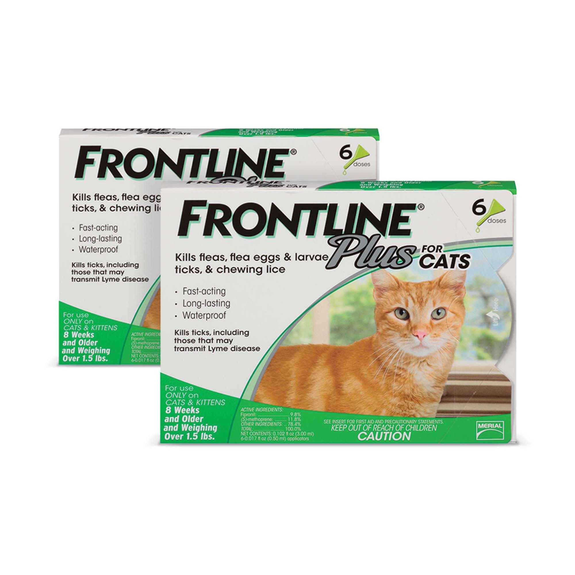 FRONTLINE Plus Flea and Tick Treatment for Cats over 1.5 lbs., 2 Packs ...