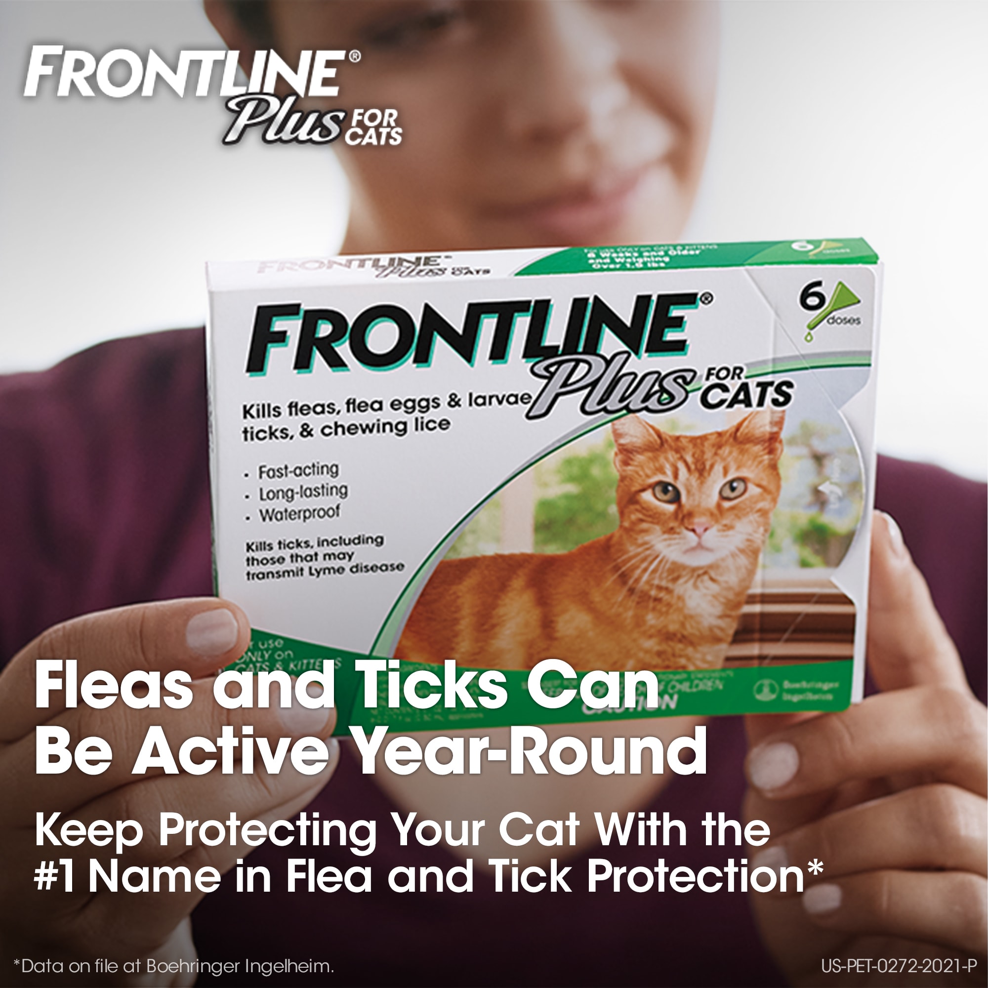 Frontline plus hot sale at petco