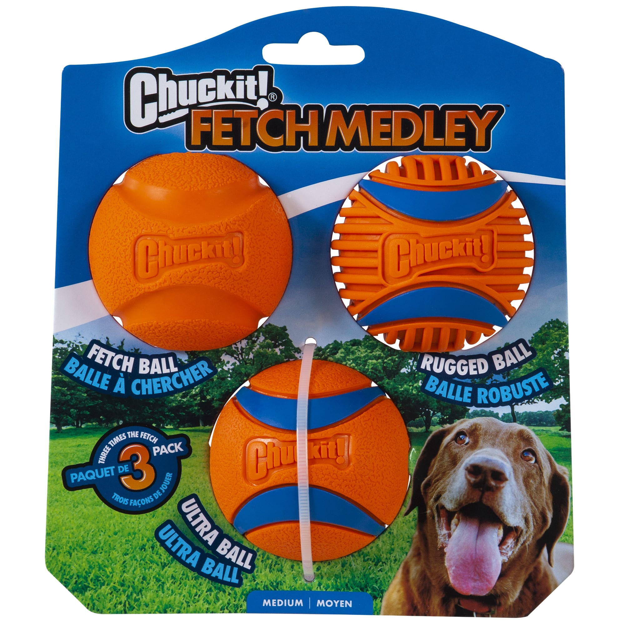 Self Fetch Dog Toys