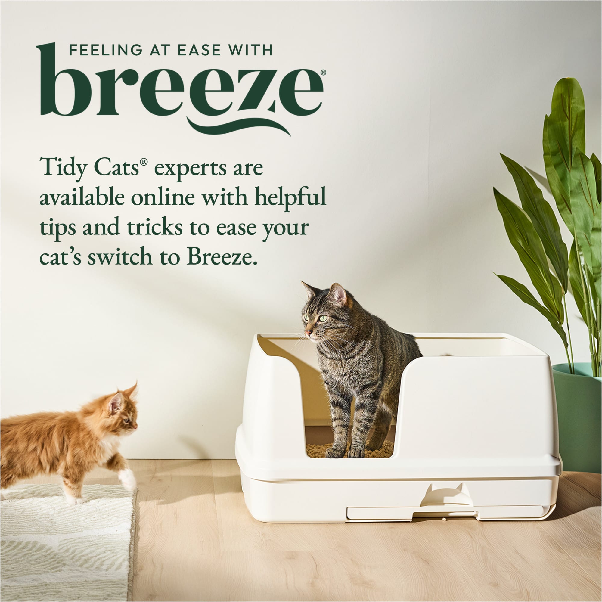 Tidy Cats Breeze Litter Box Starter Kit with Pellets Pads, X - Main Image