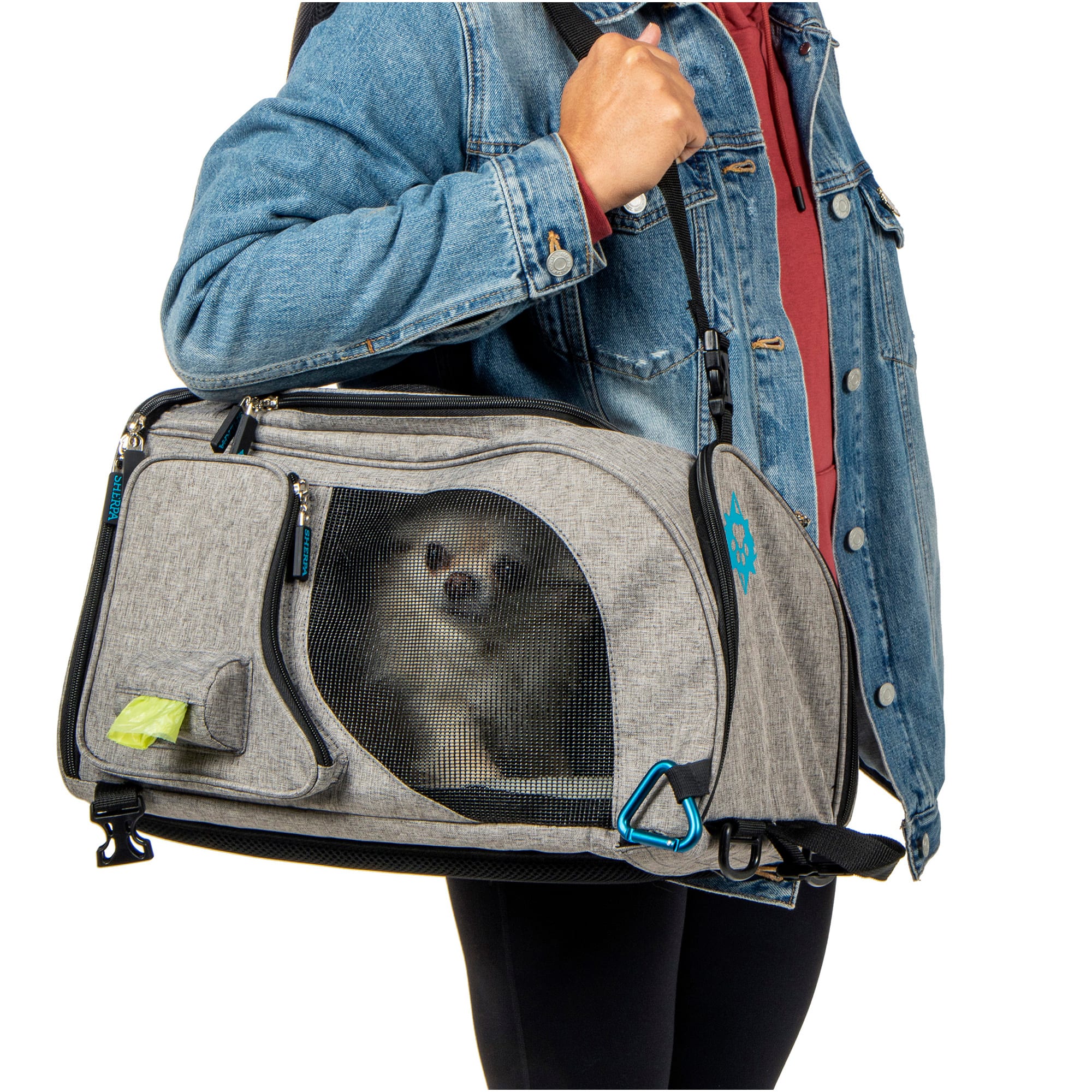 SHERPA Backpack Dog & Cat Carrier, Medium, Gray 