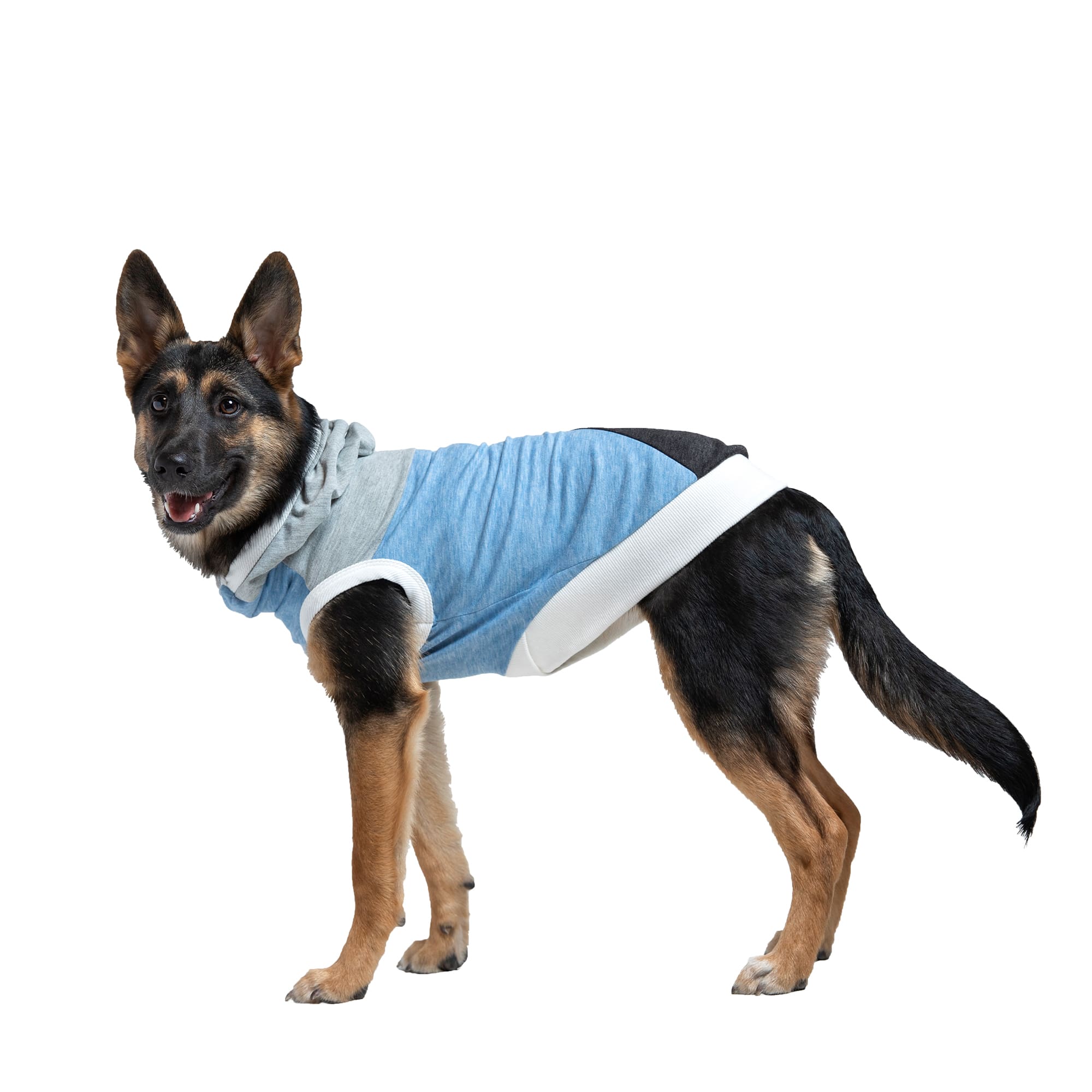 Long Dog Clothing Co. The Skater II Sleeveless Lightweight Hoodie Dog Shirt,  X-Small | Petco