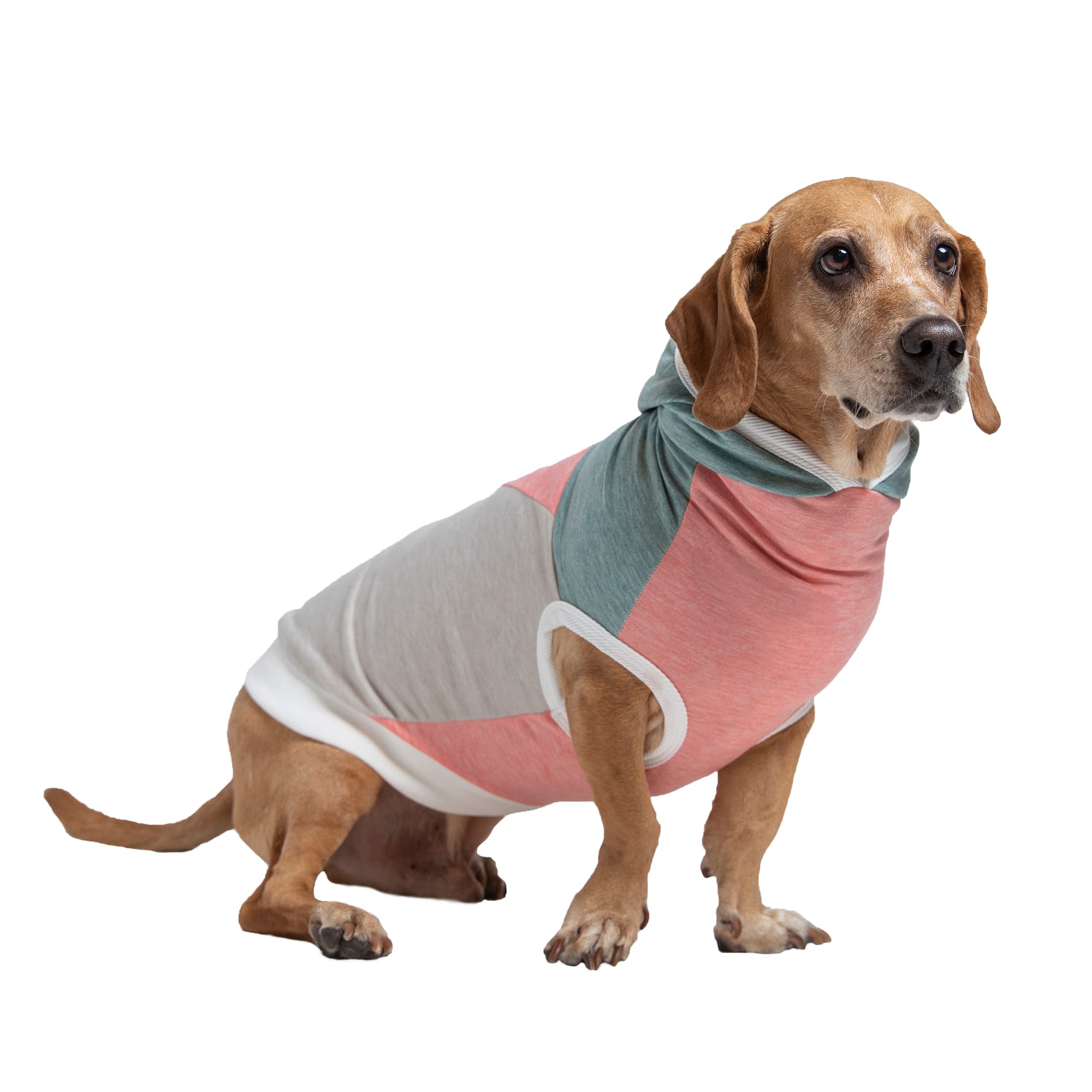 Custom Dog Clothes - Design Your Own Pet Hoodie Add Name Number  Personalized Sweater Jersey for Small Medium Large Dogs X-Small Light Pink