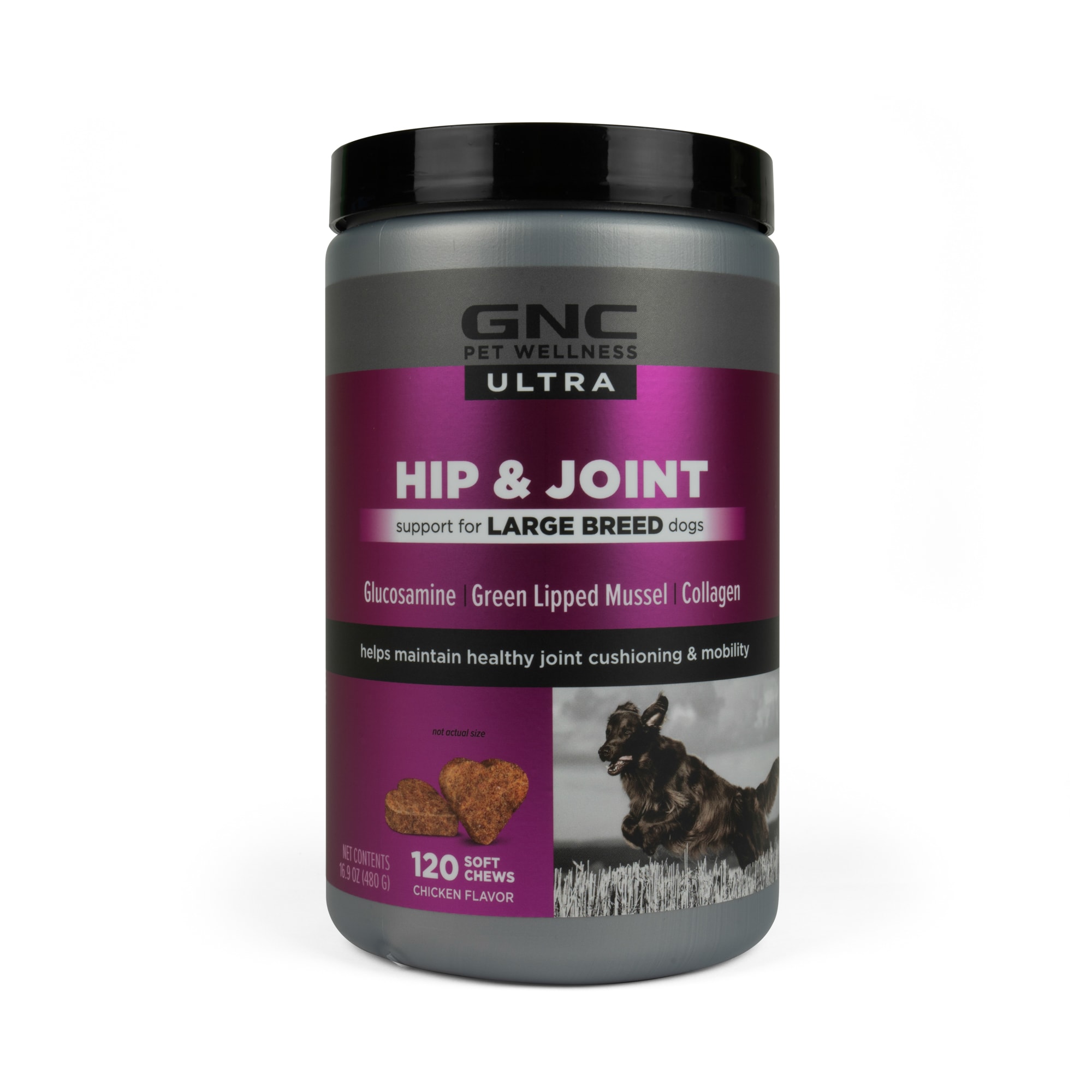 gnc pets hip and joint health