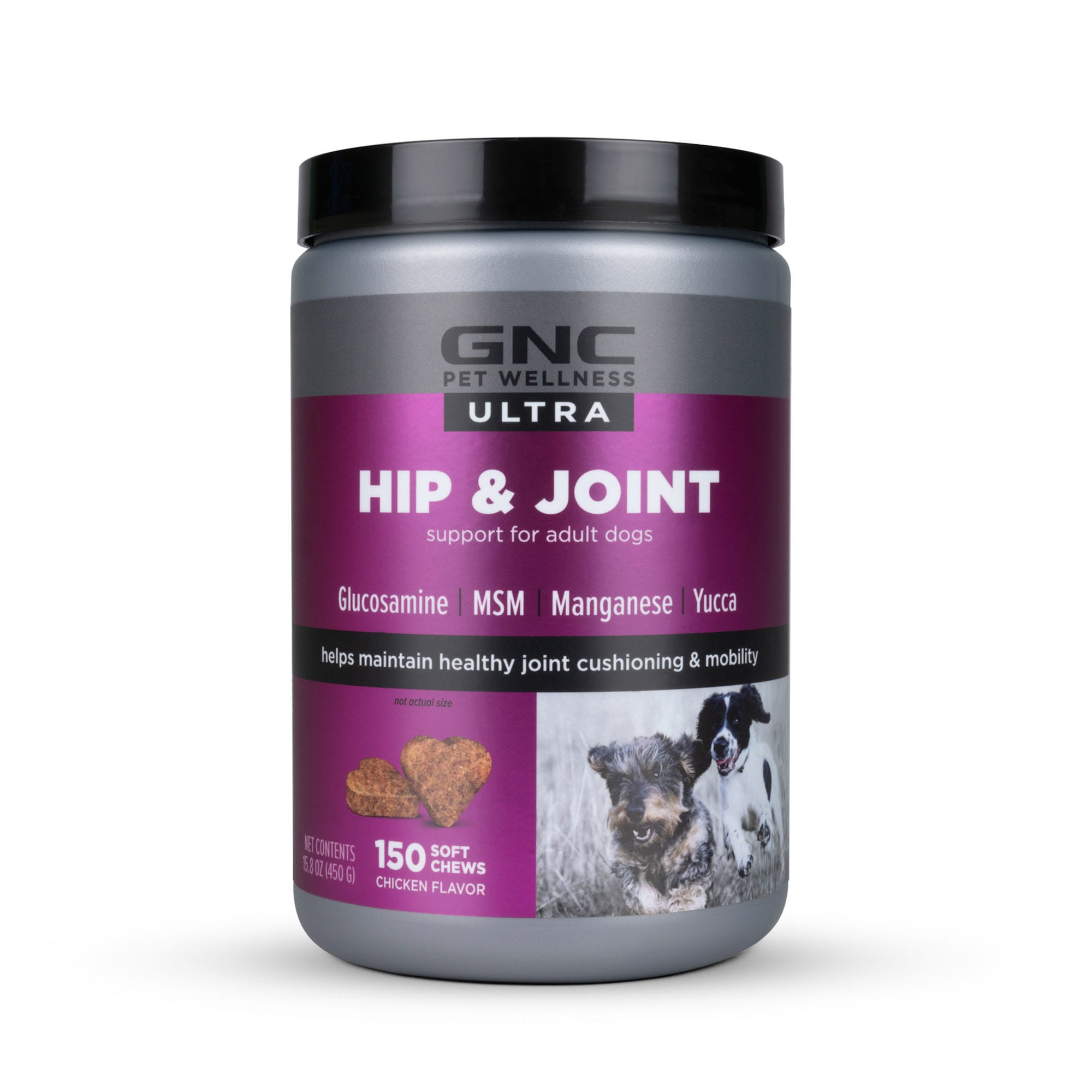 glucosamine for dogs petco