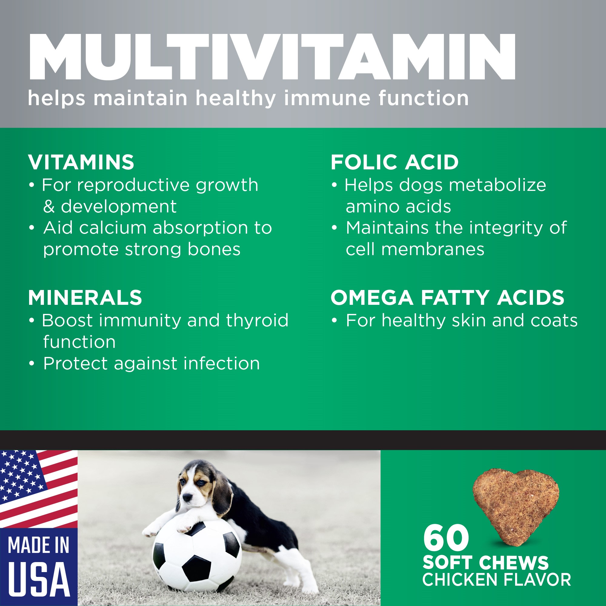 Gnc multivitamin for dogs store