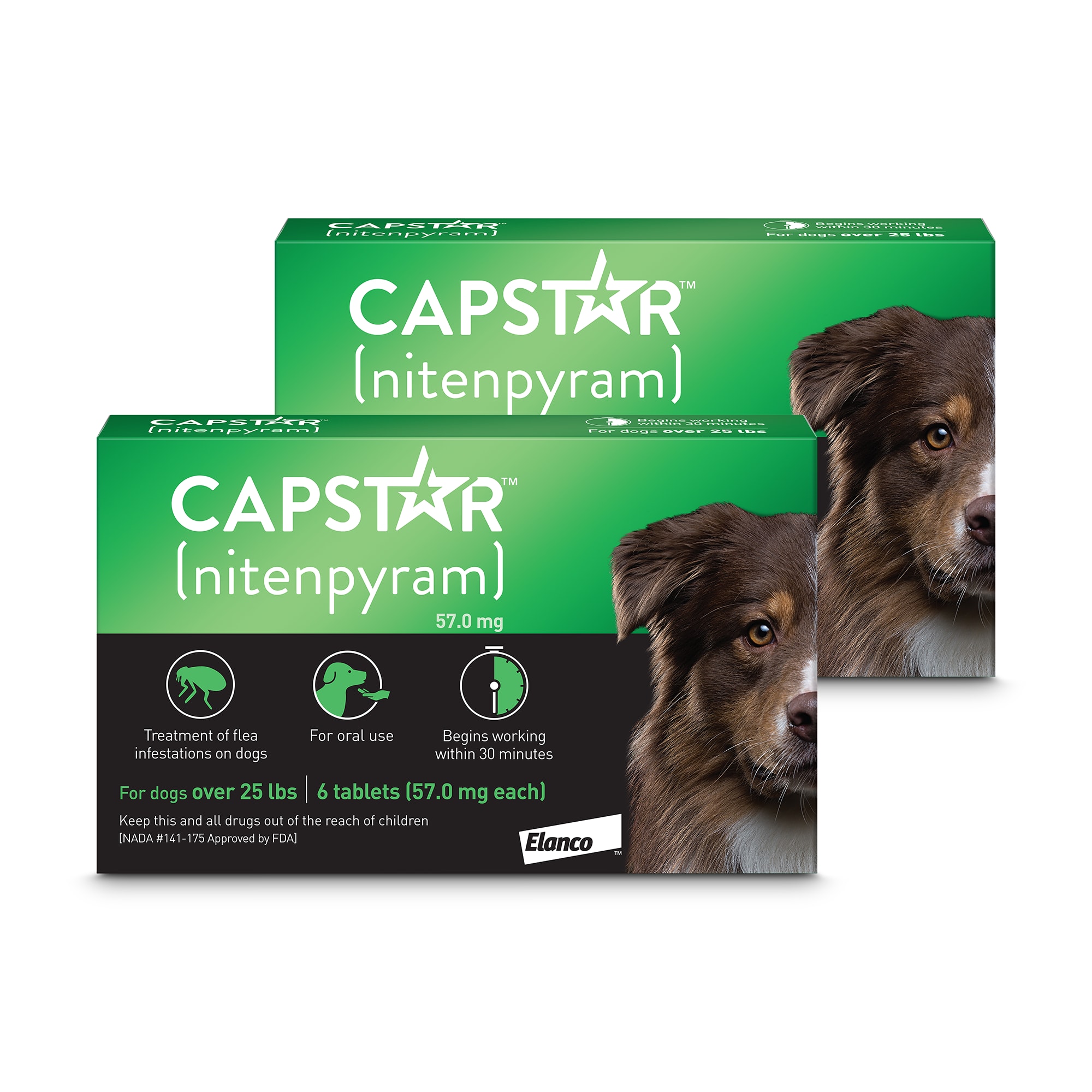 capstar for dogs petco