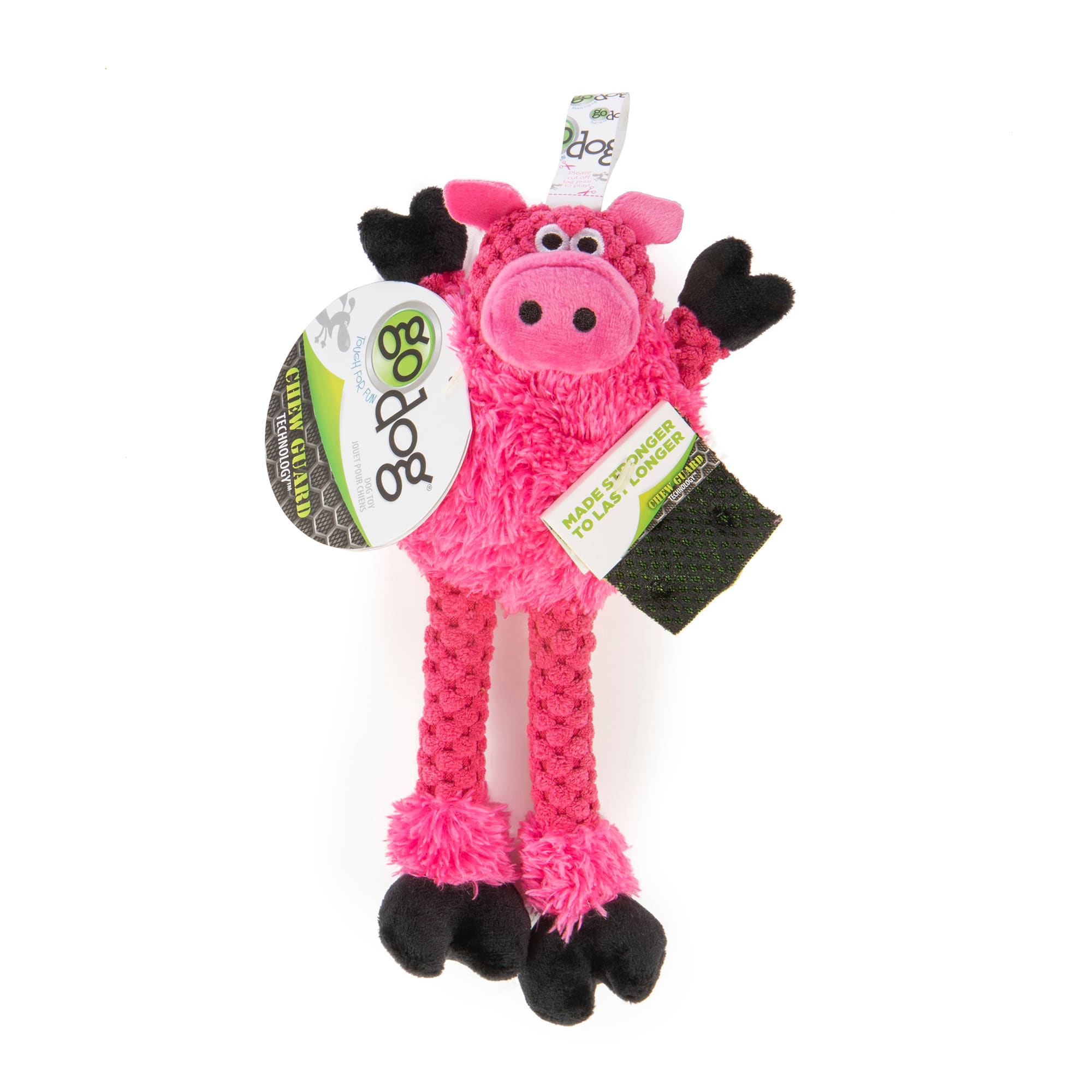 pig dog toy petco